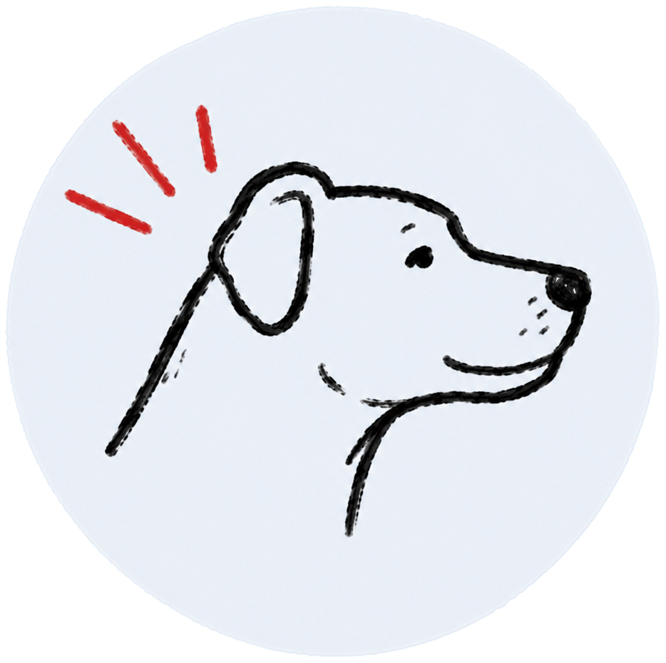 in home dog training