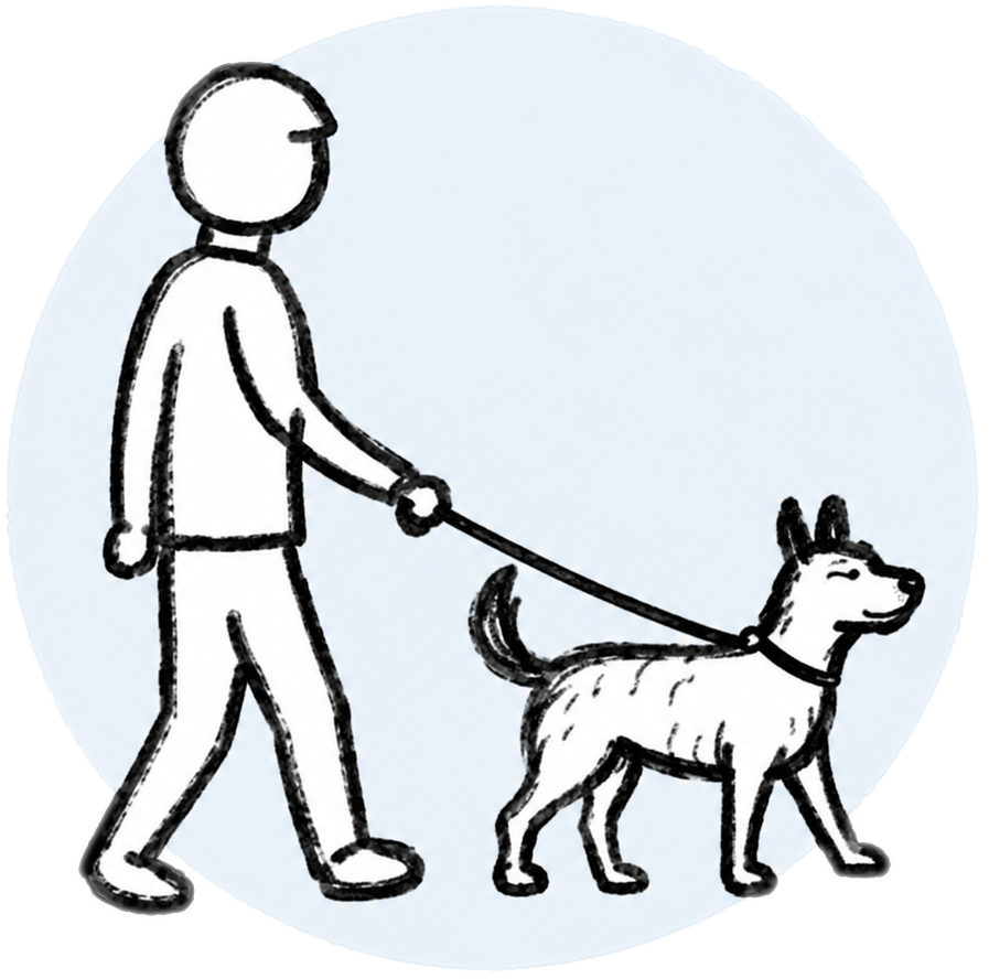 dog training NYC