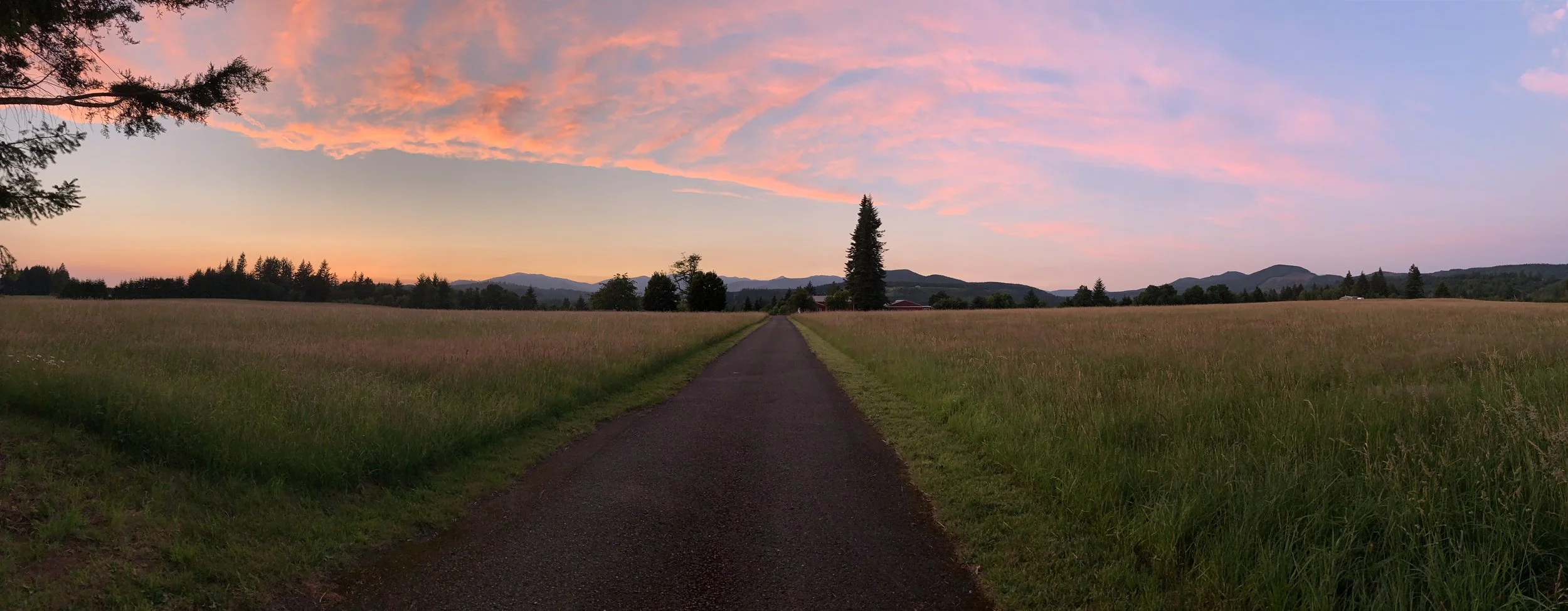 A rural landscape at sunset with a dirt path leading towards distant mountains. The sky is pink and purple, with clouds, and the scene is bordered by grassy fields and trees.