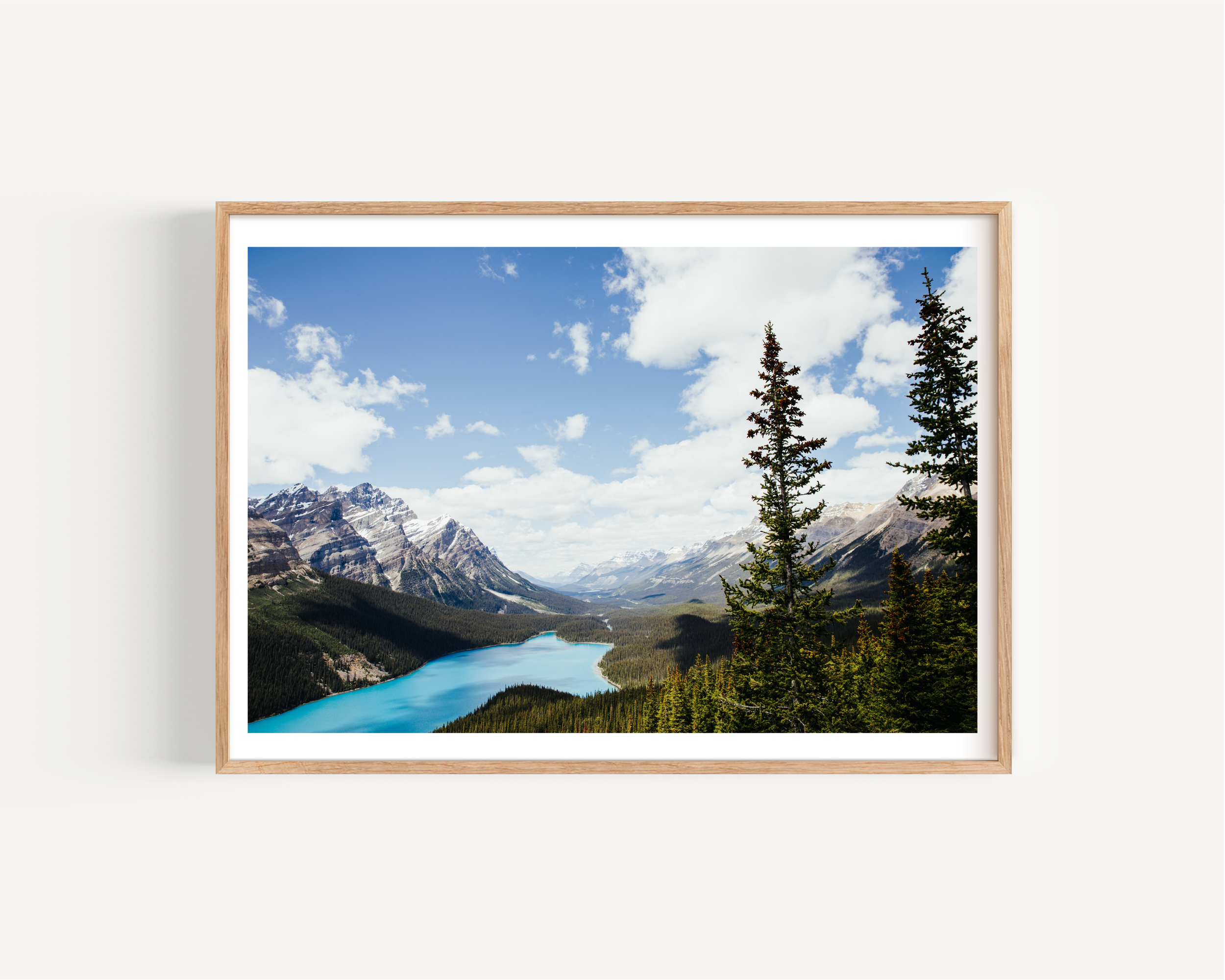 Untitled design-21.png