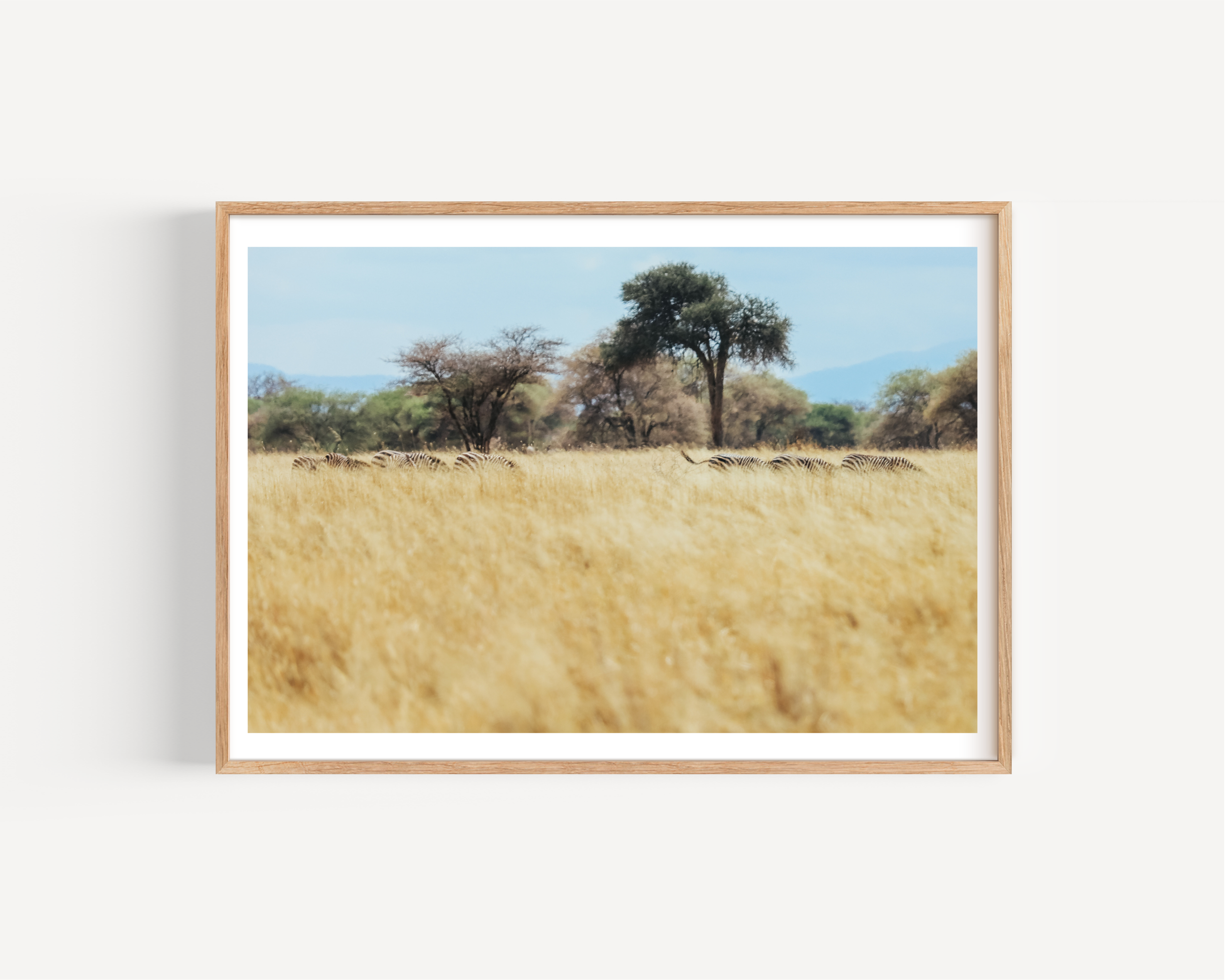 back of the Serengeti