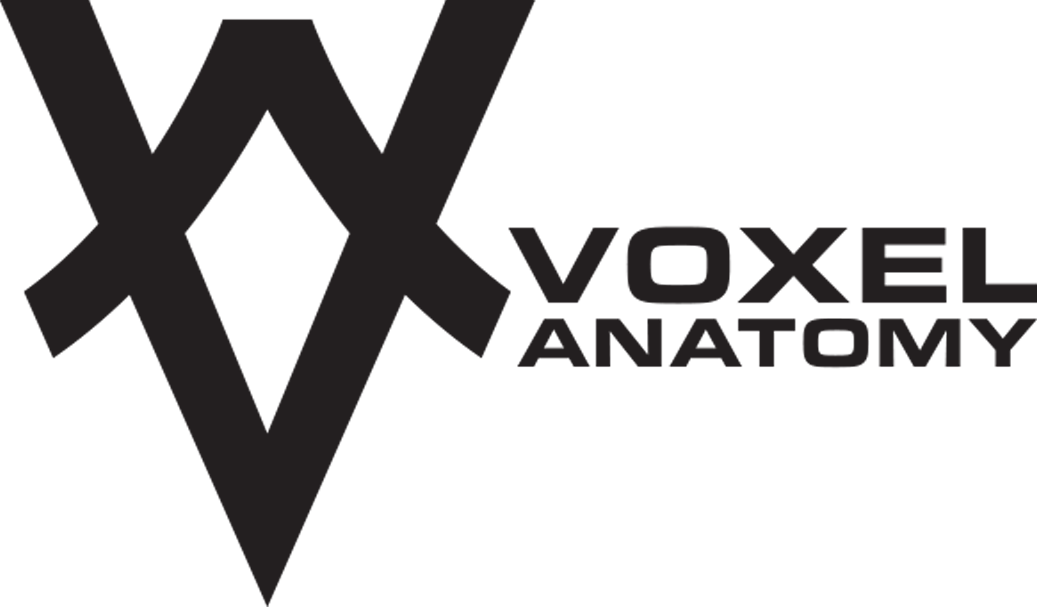 Voxel Anatomy