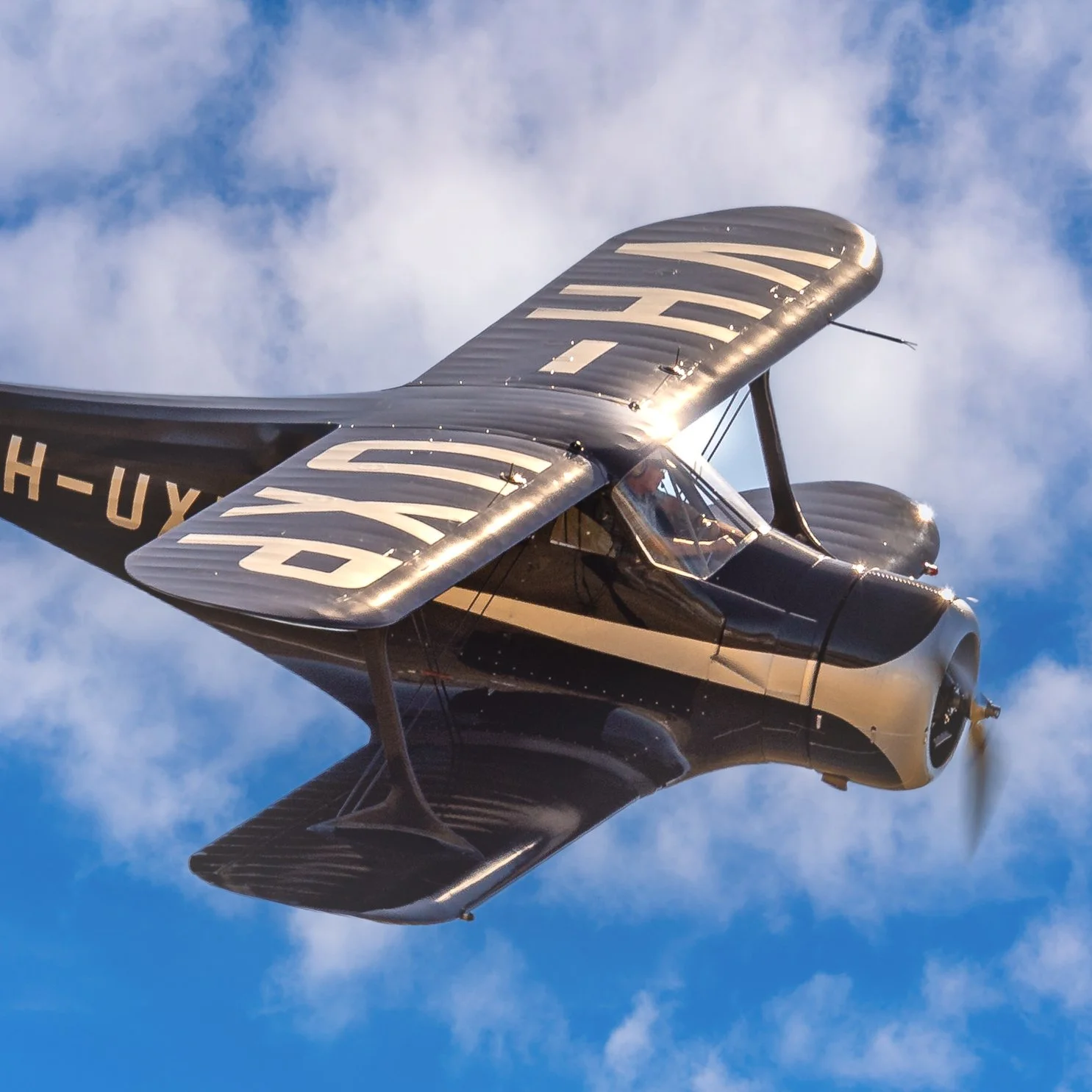 WACO button Edit.jpg