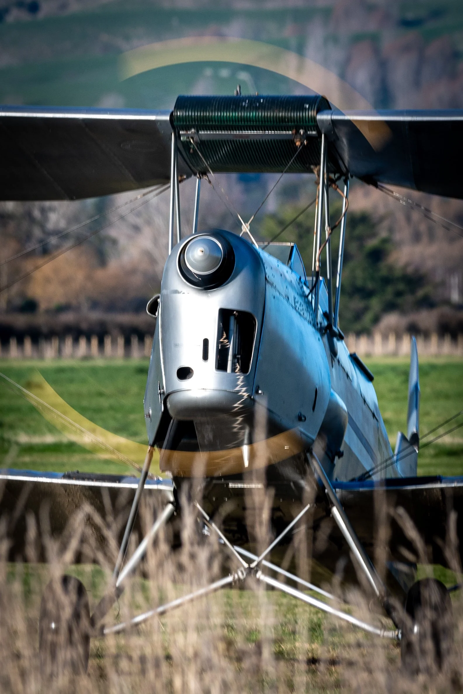 DeHavilland DH.82a Tigermoth from Legend Aviation taking back in at Hood Aerodrome, Masterton NZ