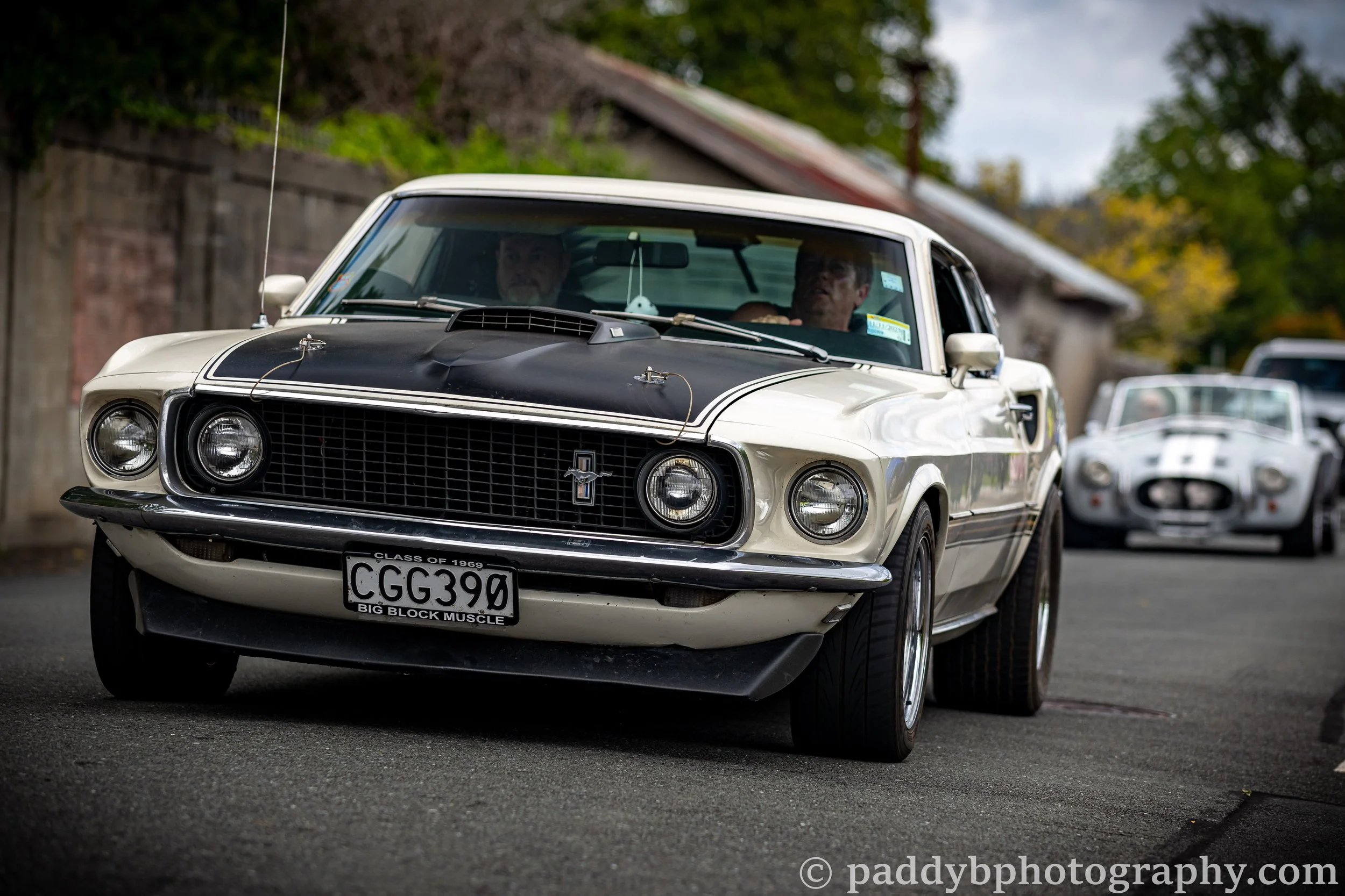 1969 Ford Mustang Mach 1 & Shelby Cobra - American Vehicle Day, Trentham NZ
