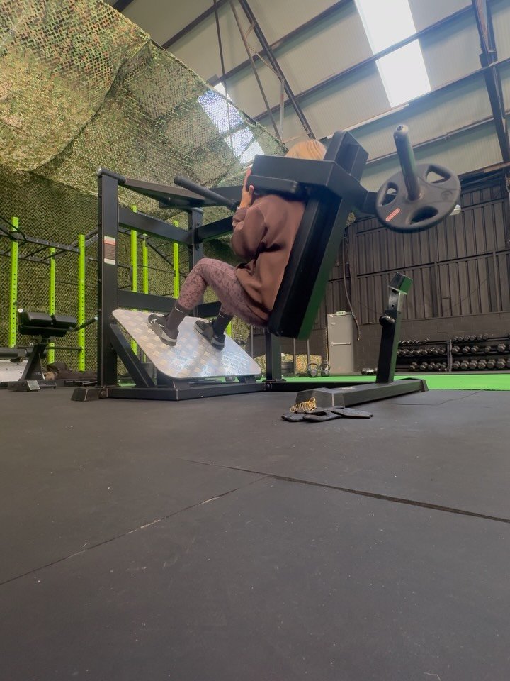 Little snapshots from yesterday&rsquo;s session 💜
And yes&hellip; the pendulum squat still humbles me every single time 😅

#WomensFitness #LegDay #PendulumSquat #StrongWomen #GymLife