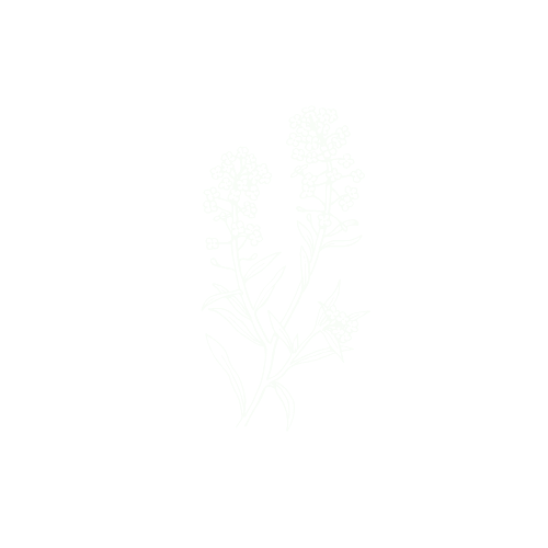 Refined Floral