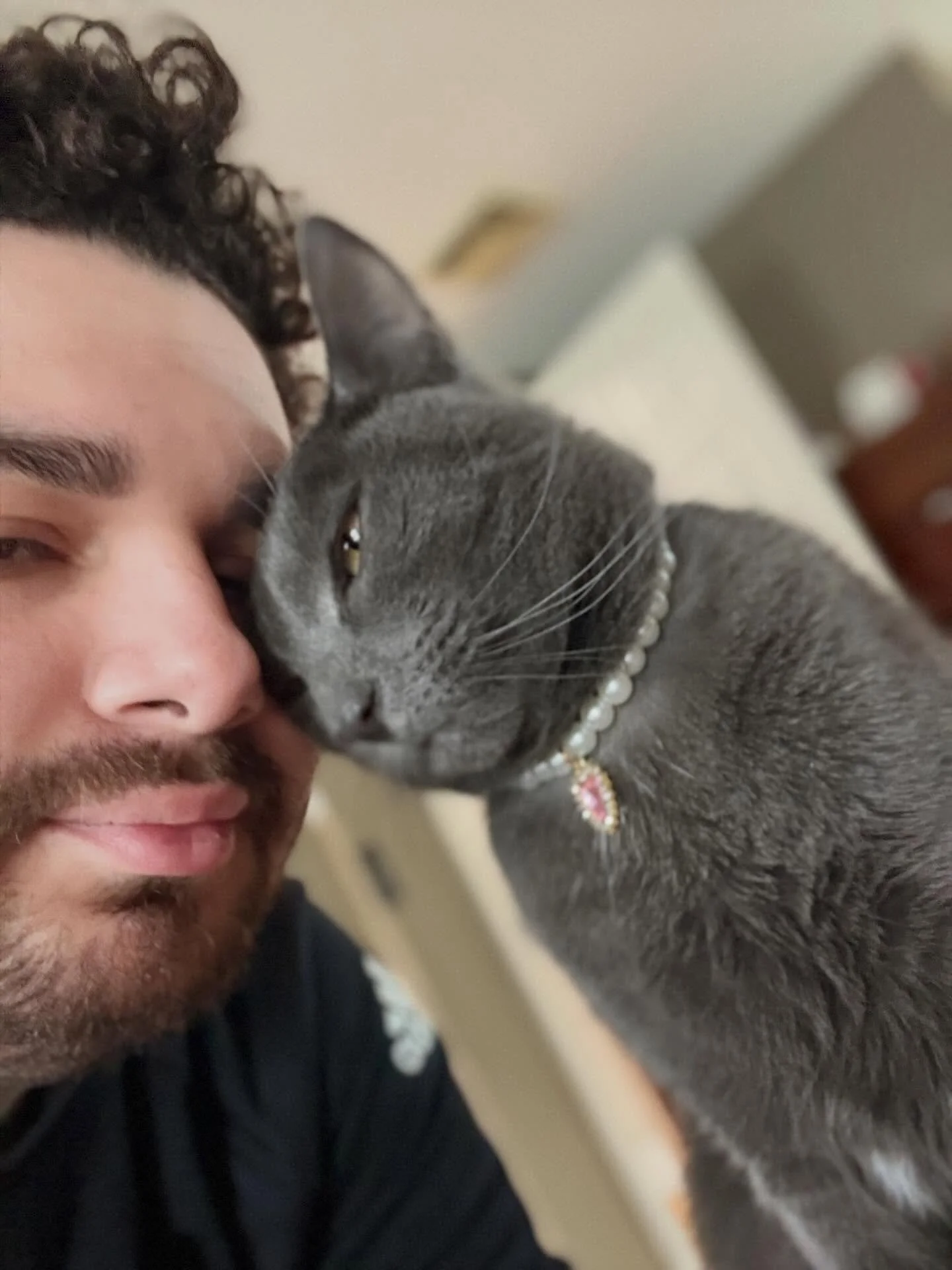 U know I love flowers but I gotta take a break once in a while to spend time with my beautiful cat Earl.