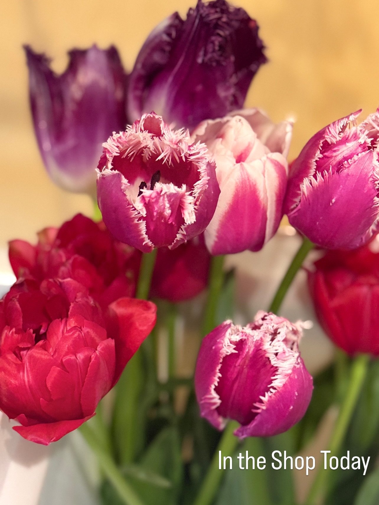 Tulips&mdash;soft, graceful blooms that move and open naturally.&rdquo; &ldquo;Kangaroo paw&mdash;textured, velvety stems that add depth and a modern touch.&rdquo; &ldquo;Extra long stem calla lilies with graceful line and movement&mdash;perfect for 