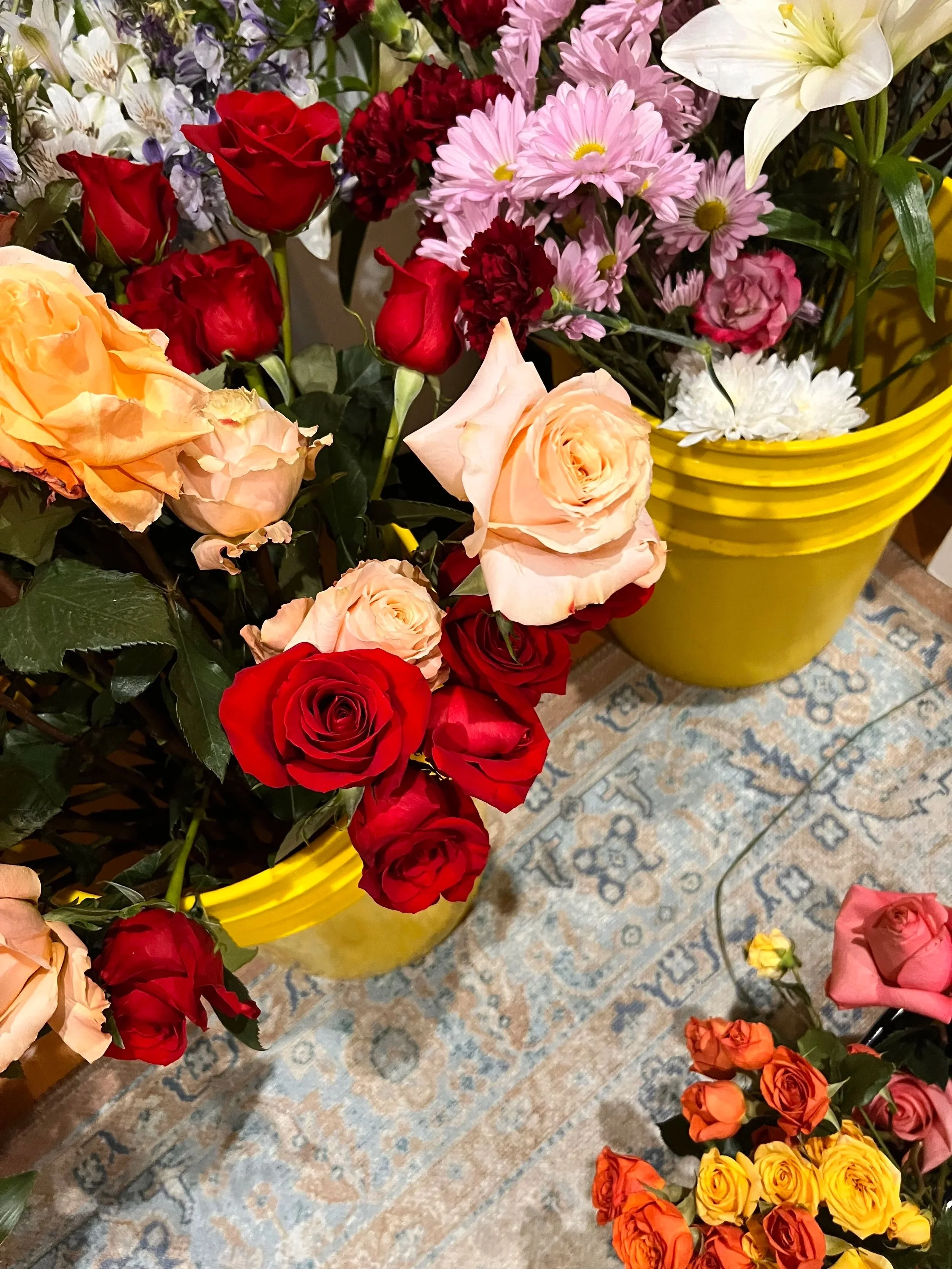 The Botanical Rituals — The Epiphany     