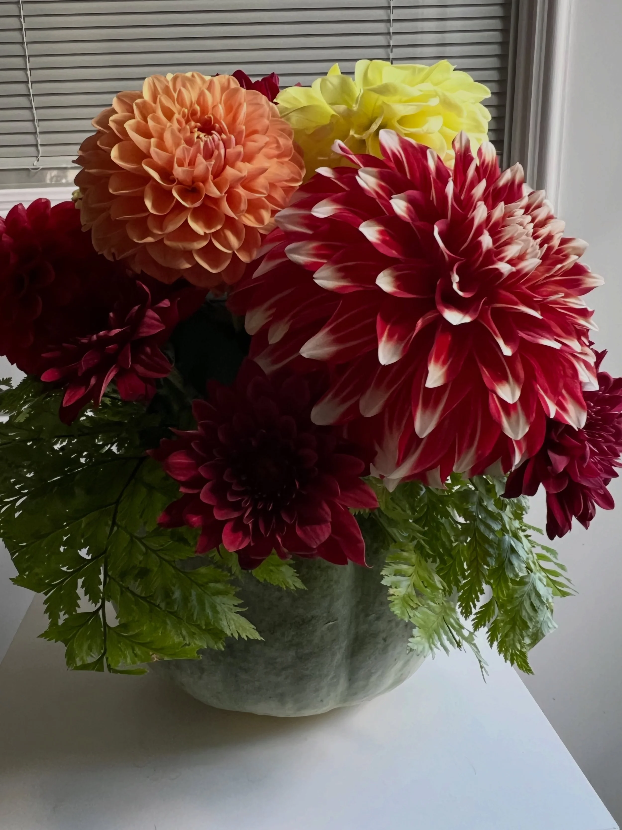 Our decorative pumpkin creations are out!

Today we&rsquo;re featuring this &ldquo;Sage Jarrahdale Heirloom Pumpkin&rdquo;

with rich burgundy, peach, and butter-yellow dahlias.

this seasonal floral arrangement brings fresh autumn color to an entryw