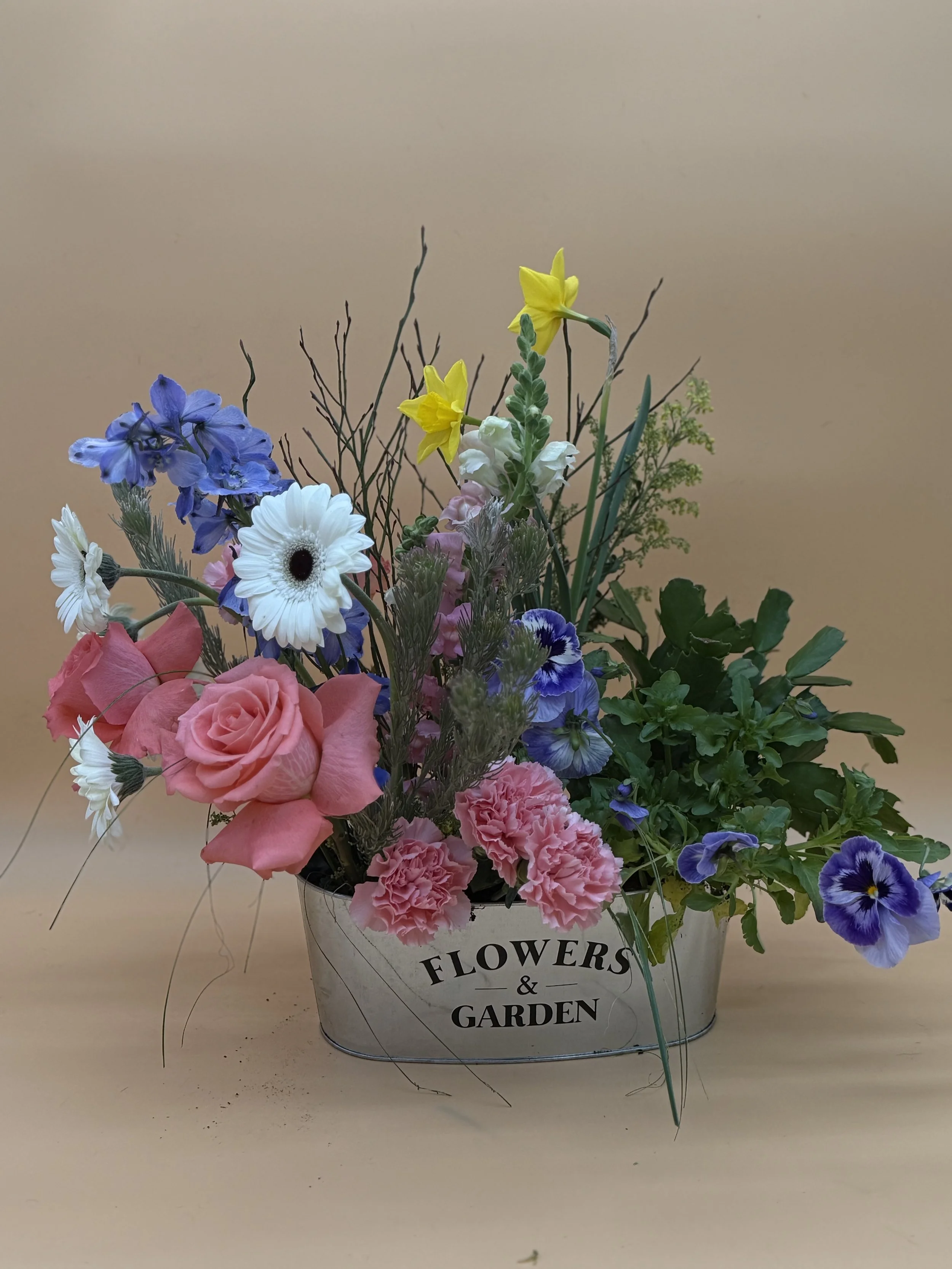LeJardin no.13 by Gifts of Flowers TA imited edition Mother's Day fresh flower and replantable garden tin arrangement with roses, carnations, pansies and succulents.jpeg