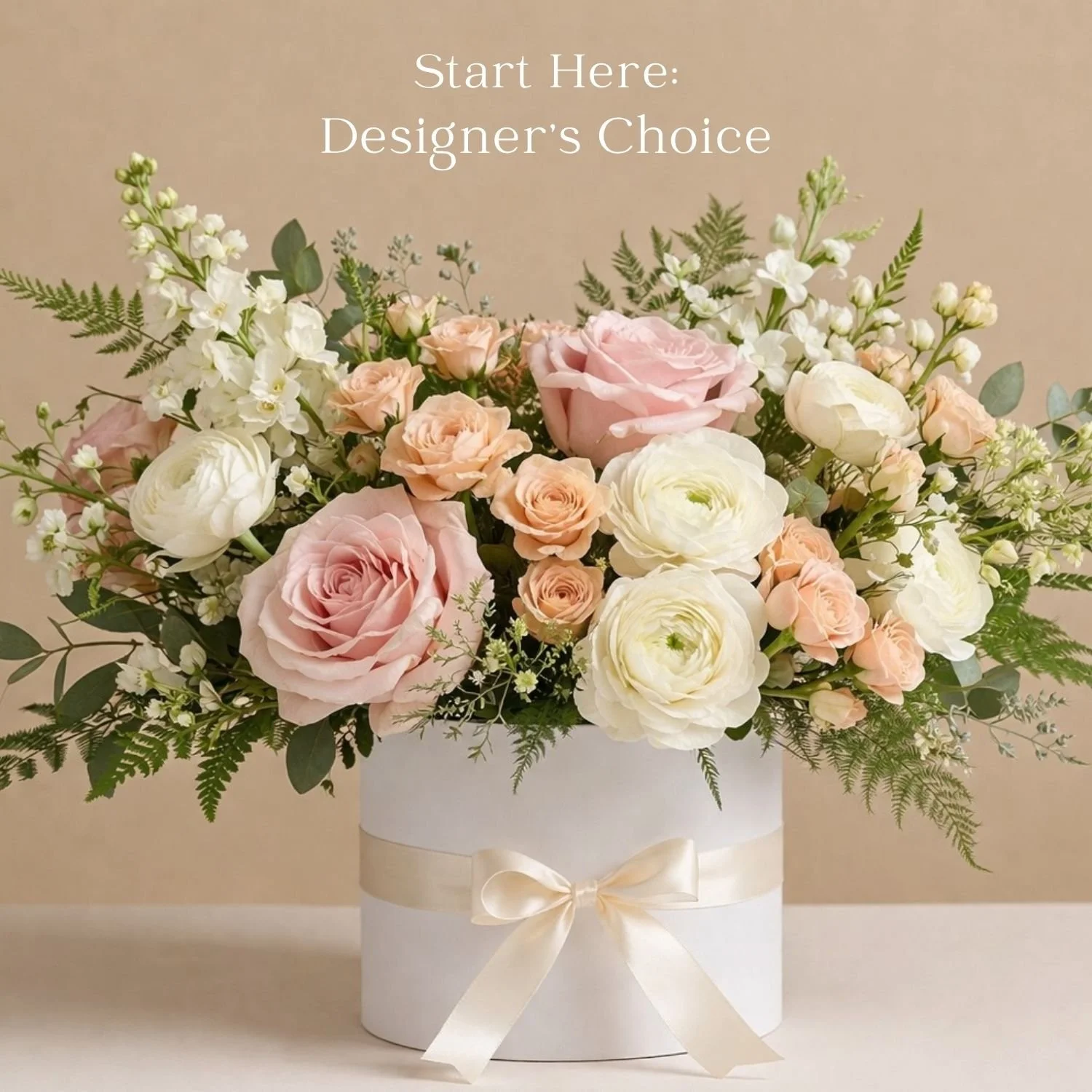 Start Here Designer's Choice.jpg