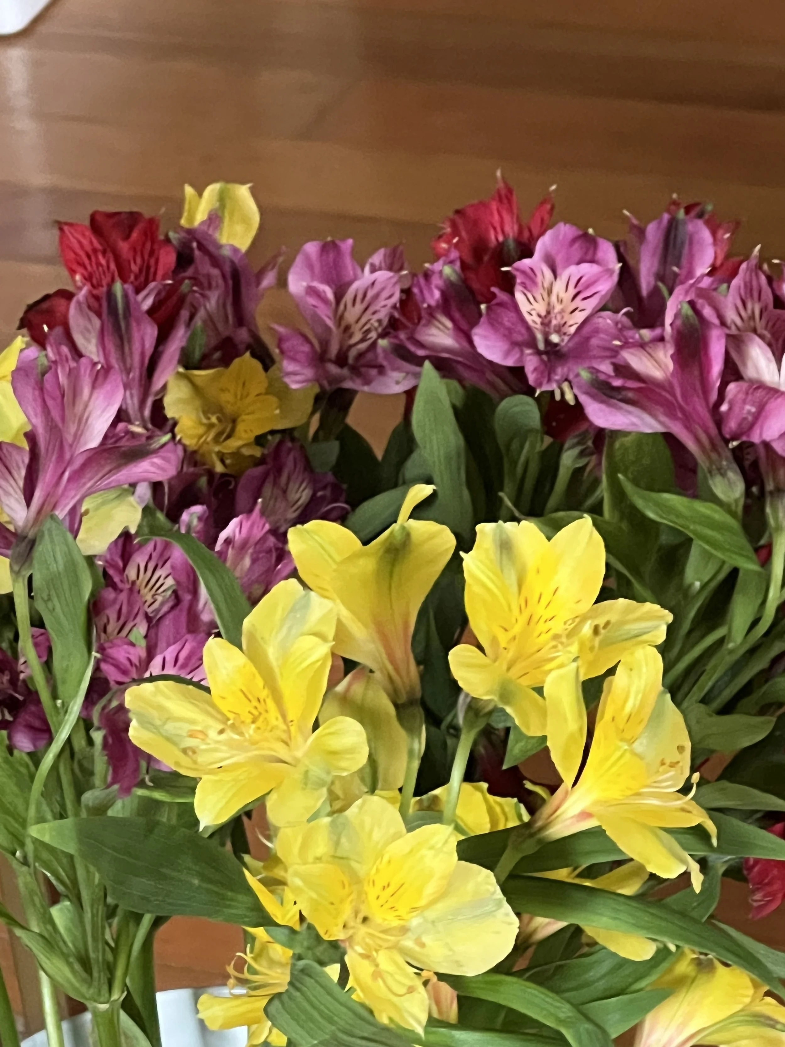 IMG_1738.jpeg