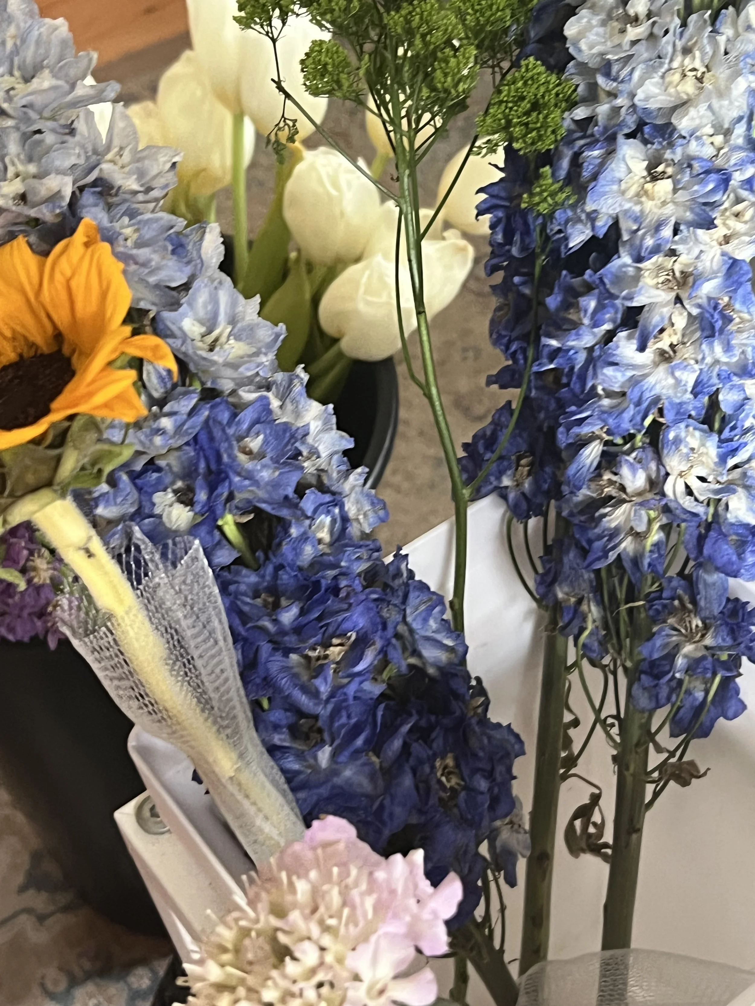IMG_1735.jpeg