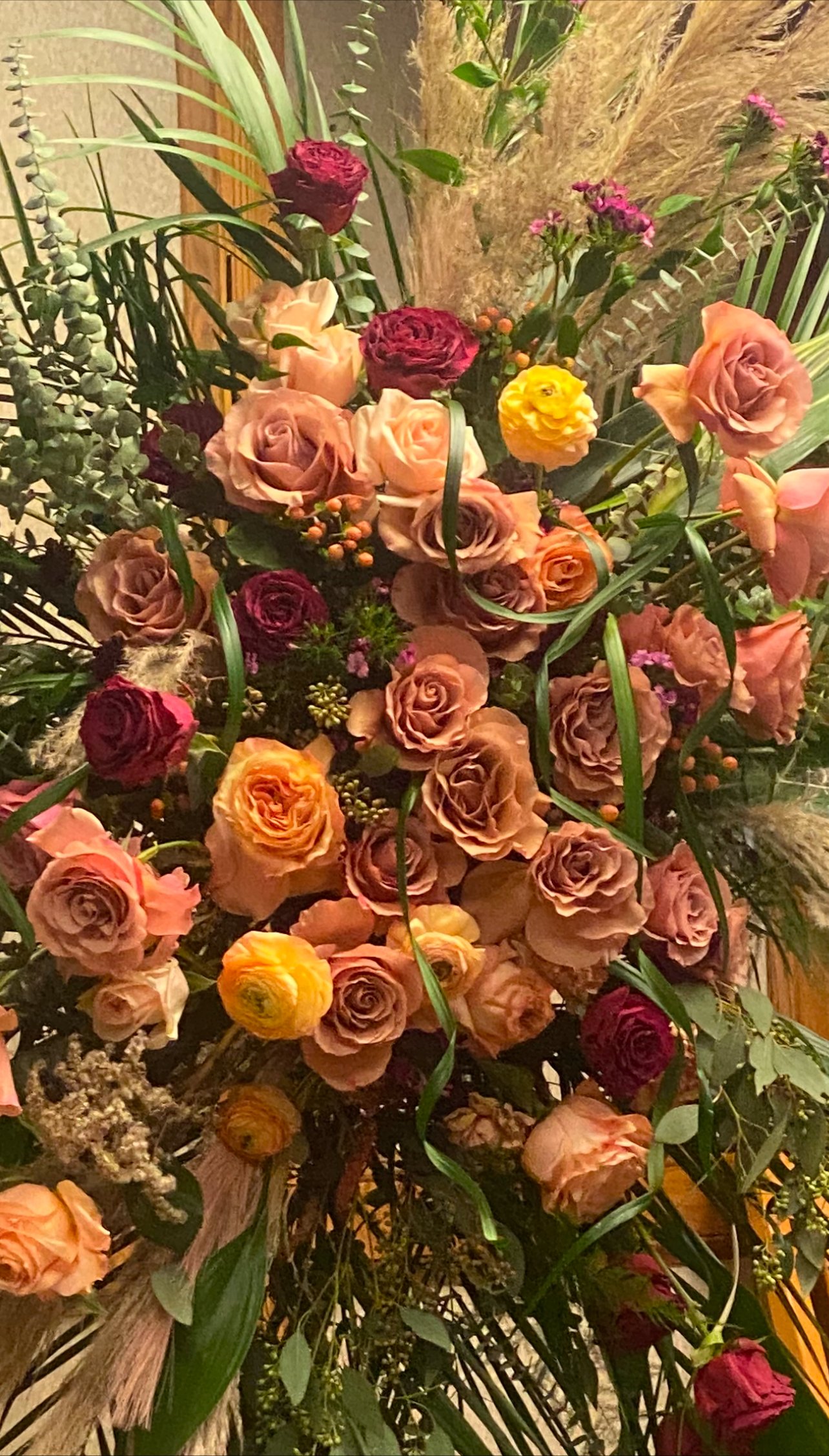 IMG_2446.jpeg
