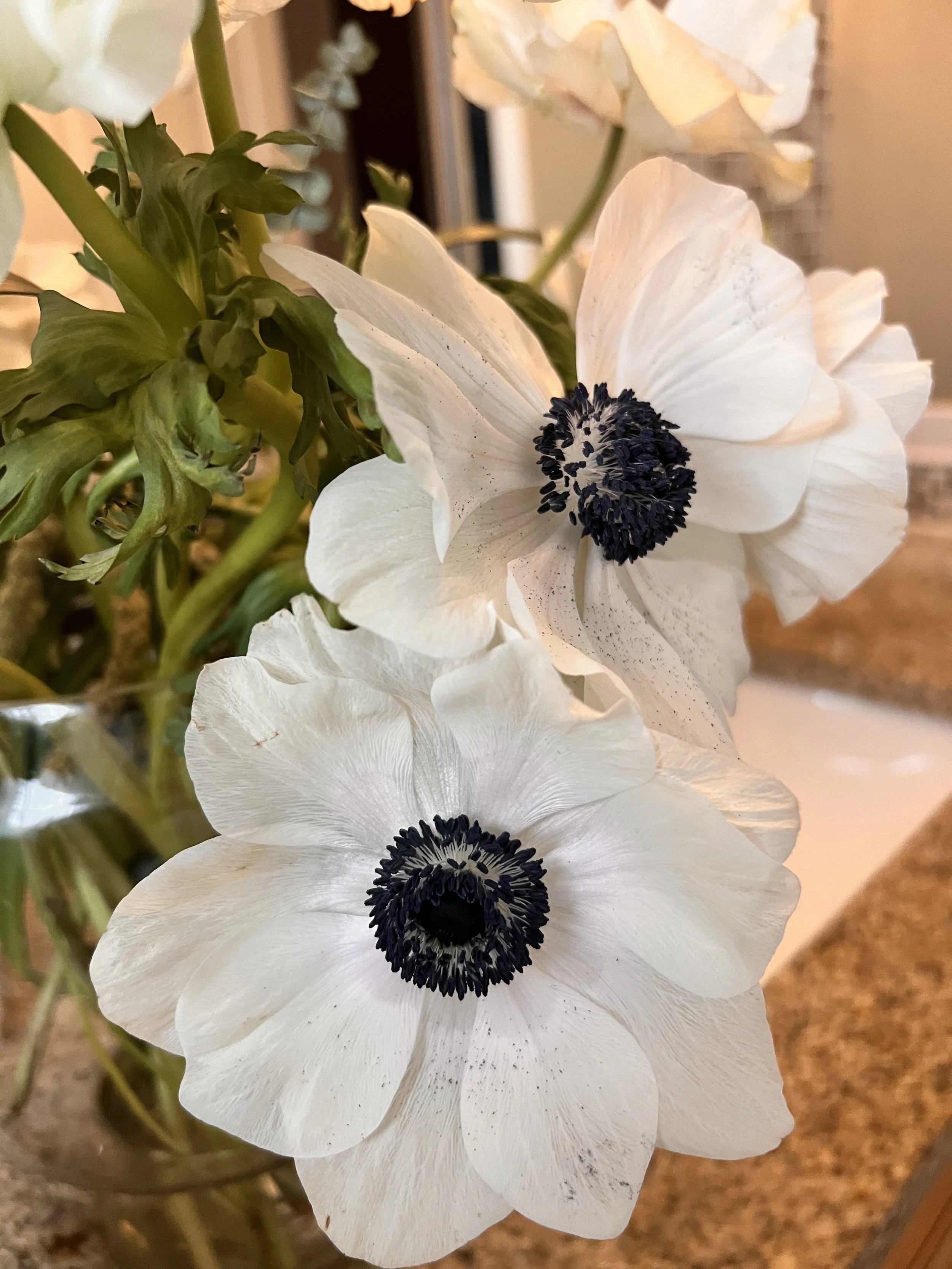 Close-up of white flowers with dark centers, possibly anemones, in a bouquet.