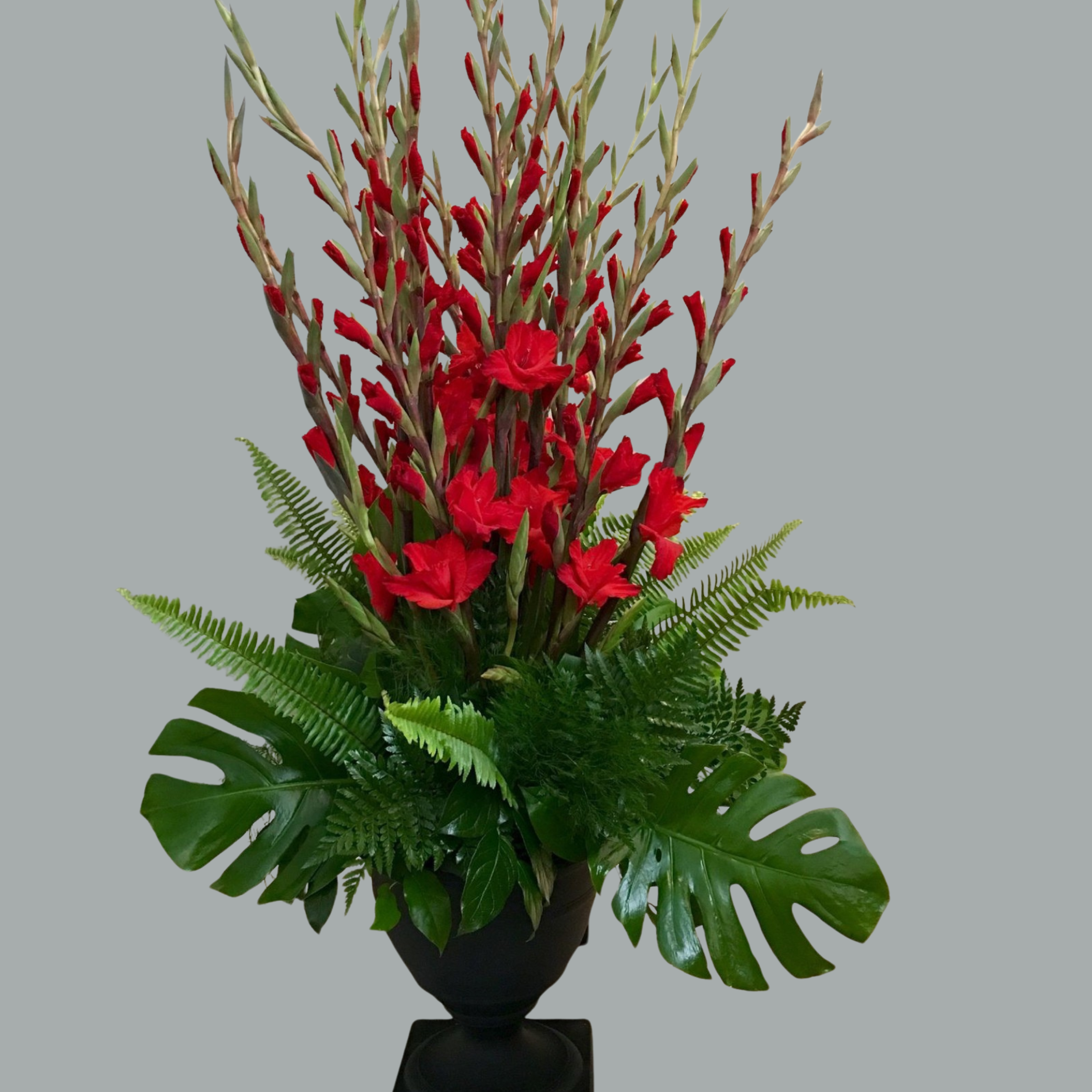 Crimson Honor Standing Tribute by Gifts of Flowers TA.png Standing funeral arrangement with red gladiolus, tropical greenery, and monstera leaves in a black urn for memorial services.