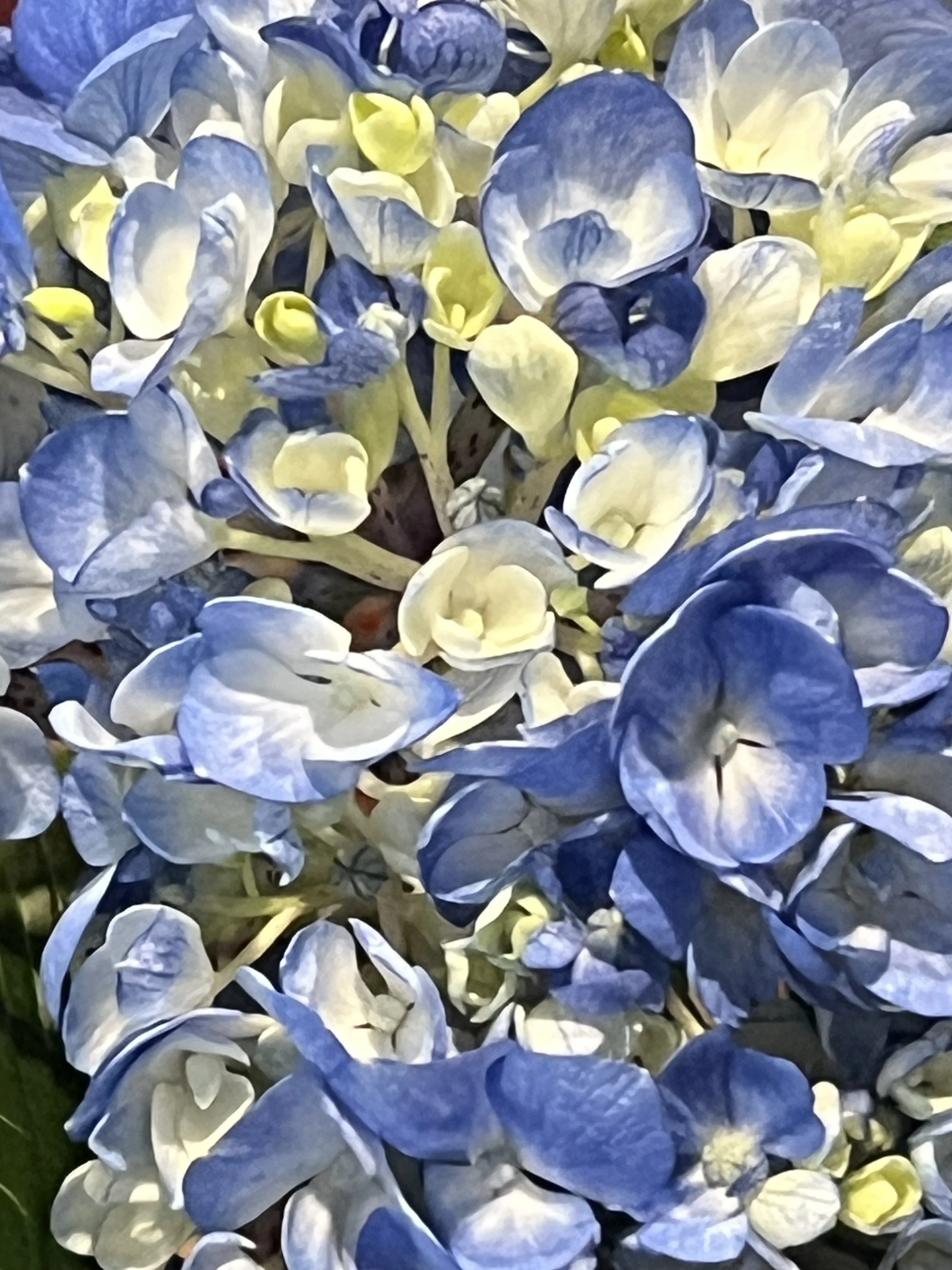 IMG_1739.jpeg