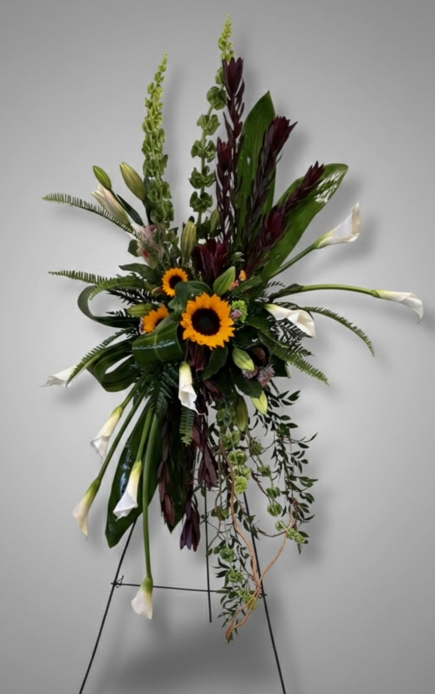 Standing with the Sun