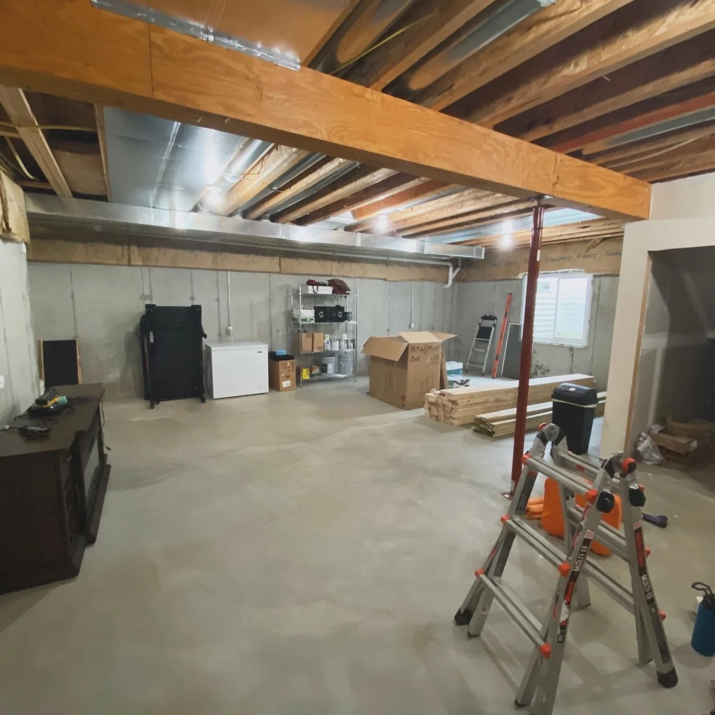Basement Before