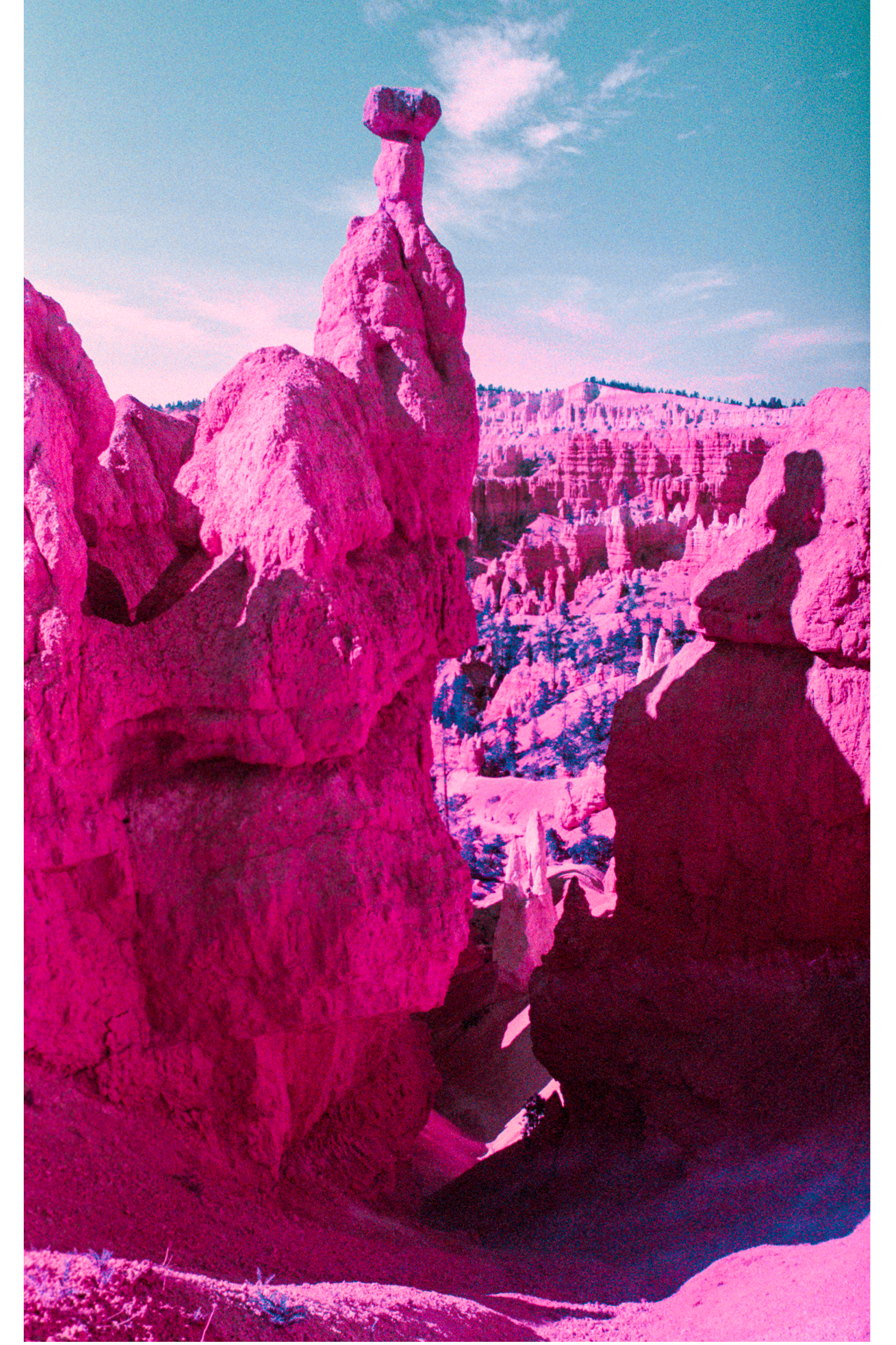 Magenta