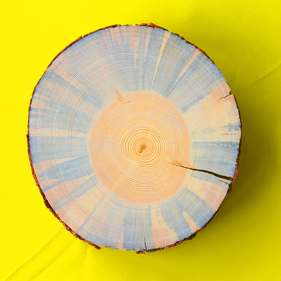 Kimball Art Center concept model of tree stump section on a yellow background designed by Sparano + Mooney Architecture