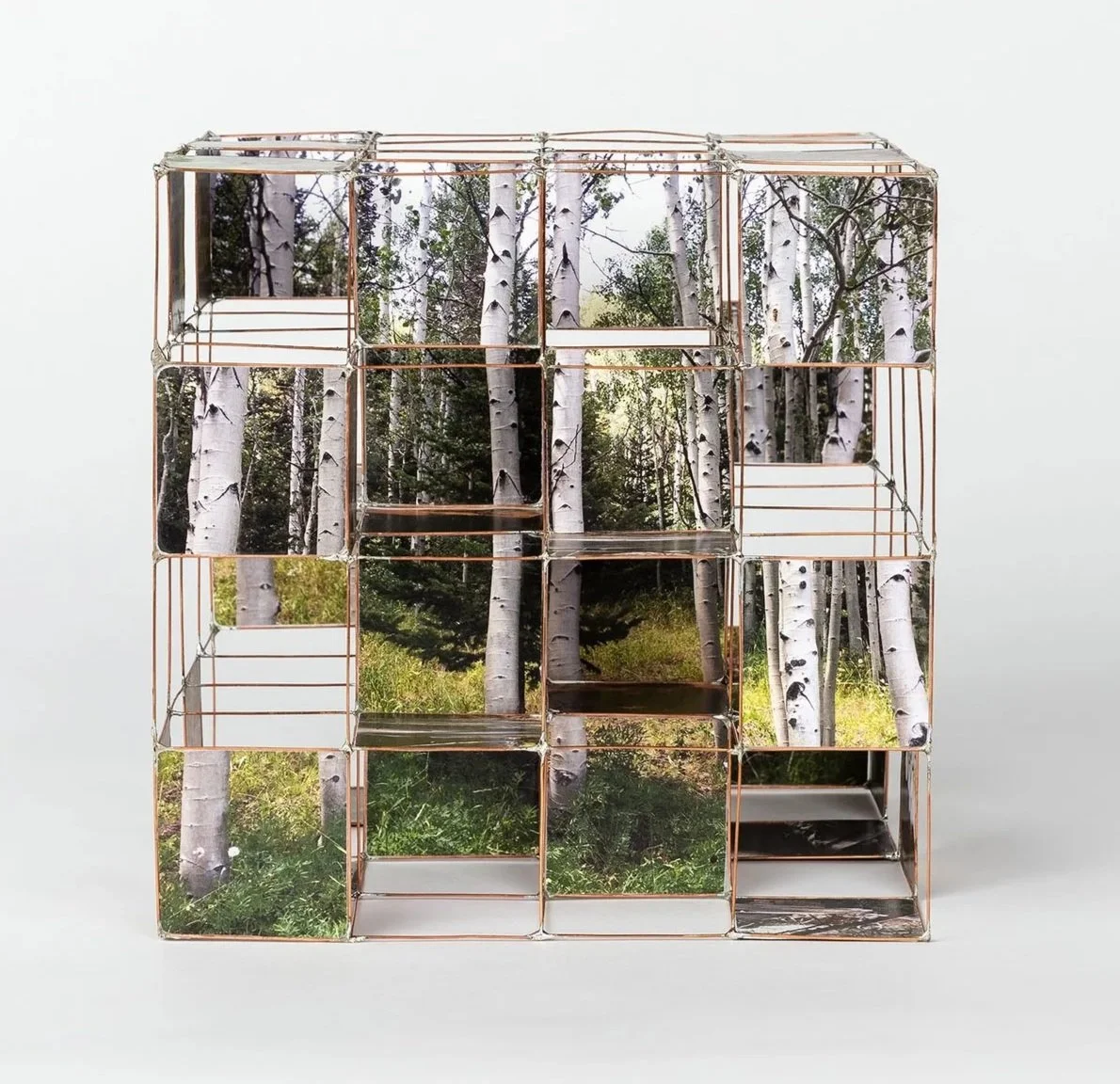 Nest heuristic device, multi-sided gridded model with layered images of an aspen grove by Sparano + Mooney Architecture