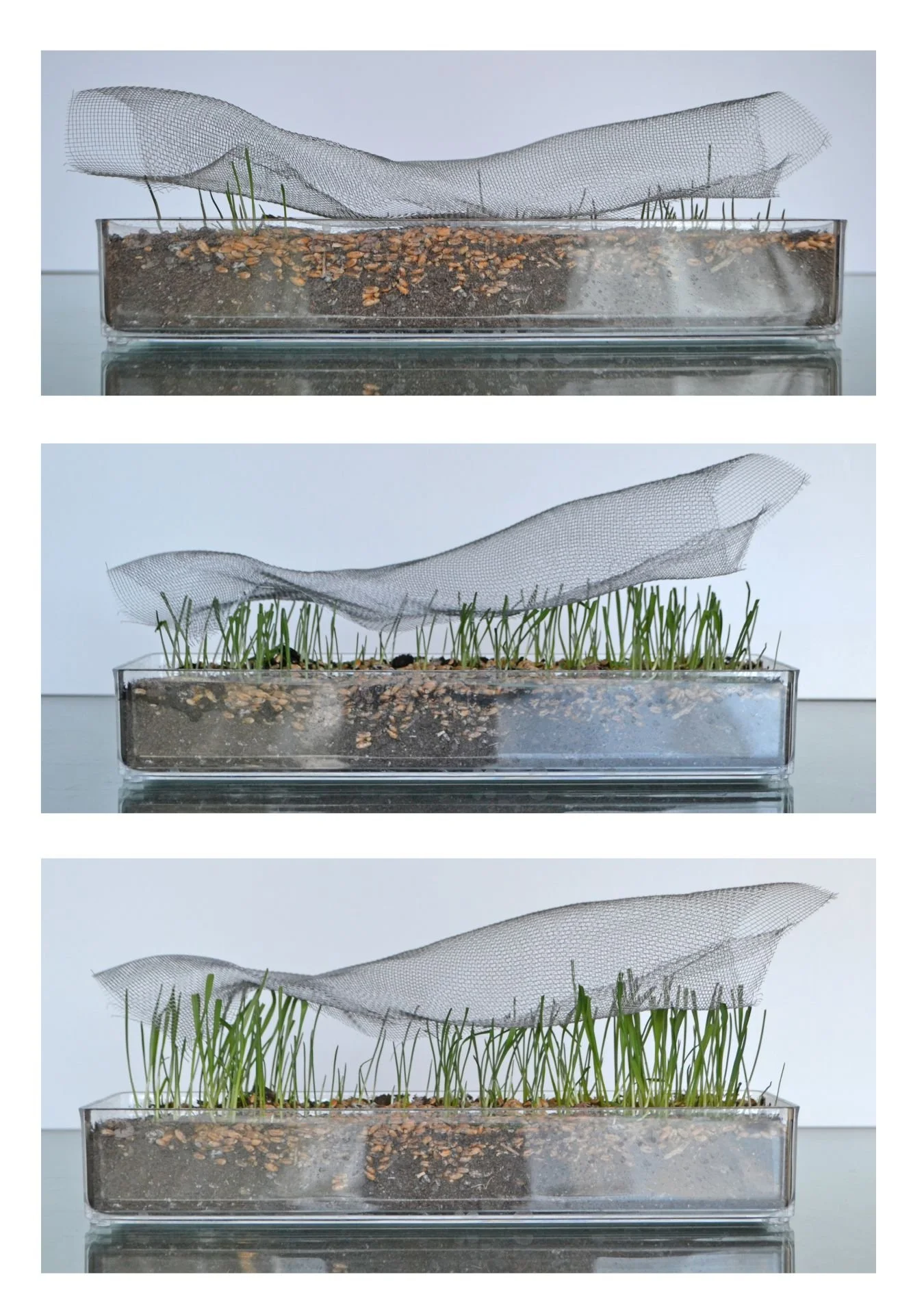 Oikos residence concept model of grass elevating a metal mesh fabric above, designed by Sparano + Mooney Architecture