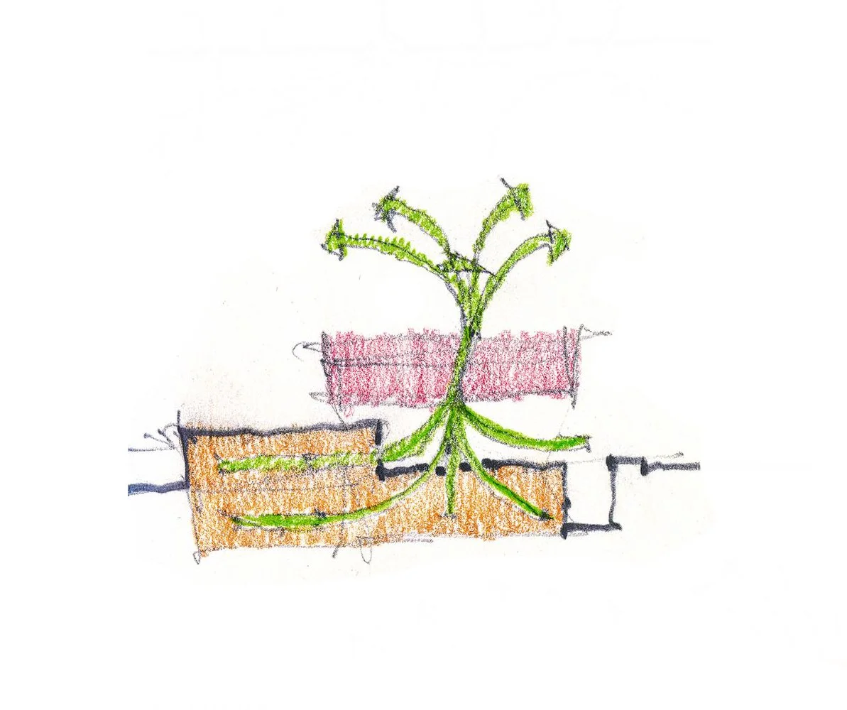 Sketch of circulation designed by Sparano + Mooney Architecture