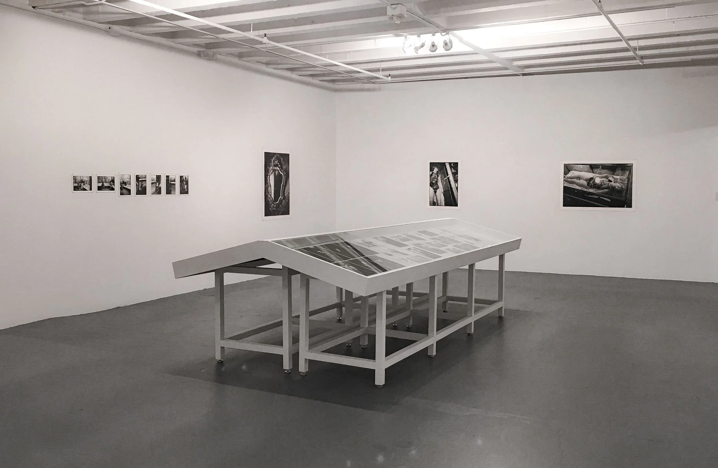 Installation view of Zoe Leonard: Survey, large table showcasing work designed by Sparano + Mooney Architecture