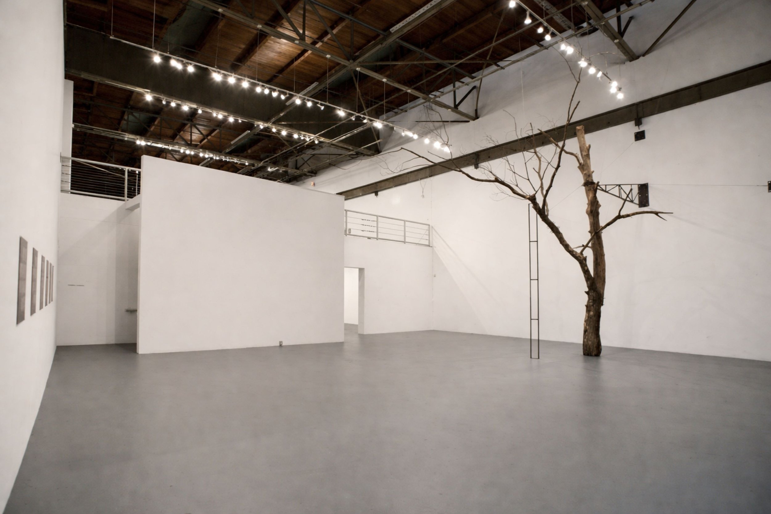 Leonard MOCA installation view with prominent sculpture of a large, dead tree and white walls designed by Sparano + Mooney Architecture