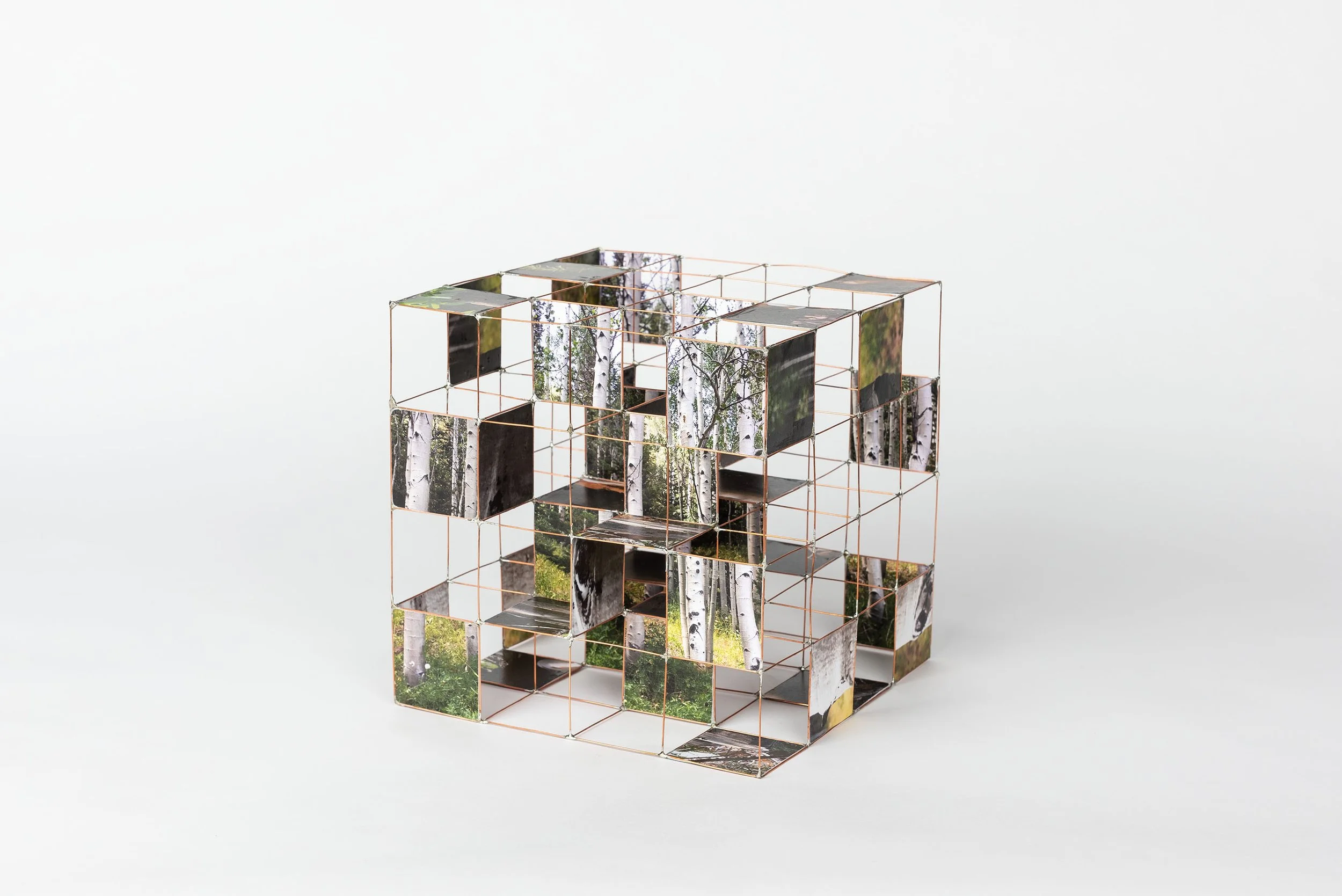 Nest heuristic device, isometric of multi-sided gridded model with layered images of nature by Sparano + Mooney Architecture