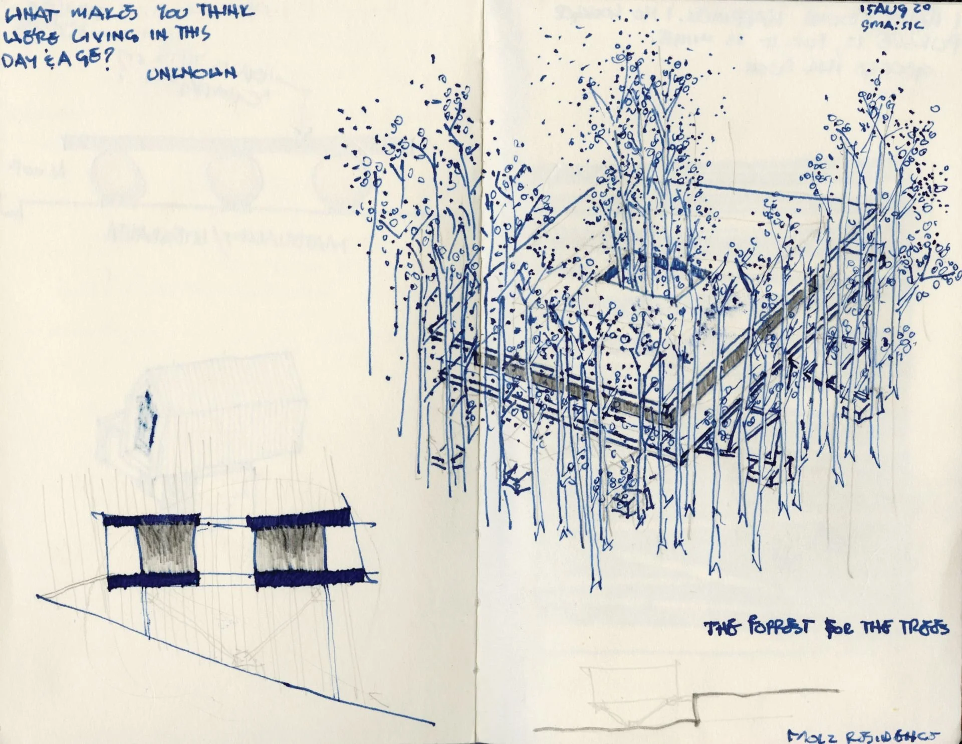 A STADIUM FOR THE TREES