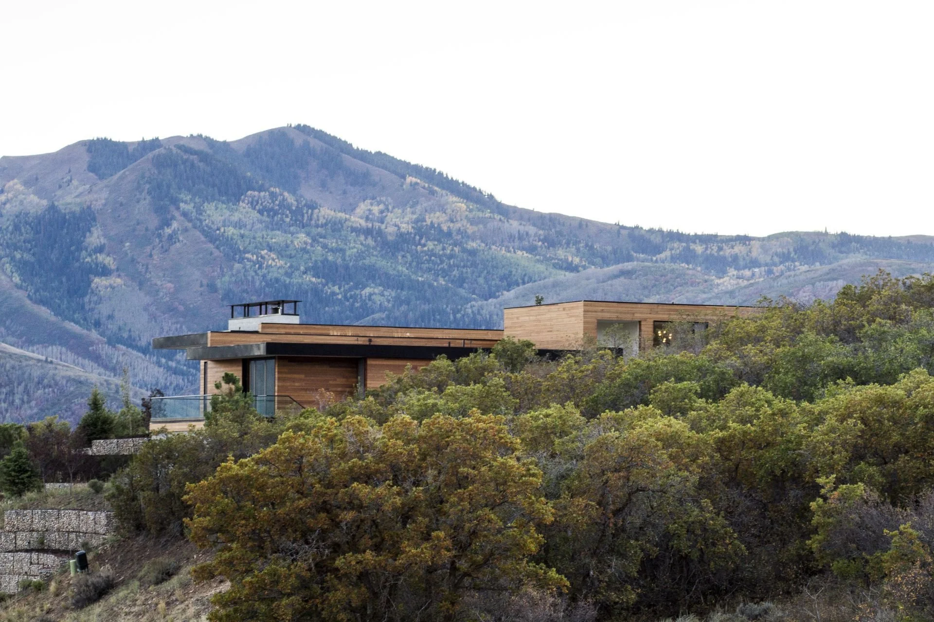 Modern house with wooden siding on a hillside surrounded by trees, with mountains in the background.