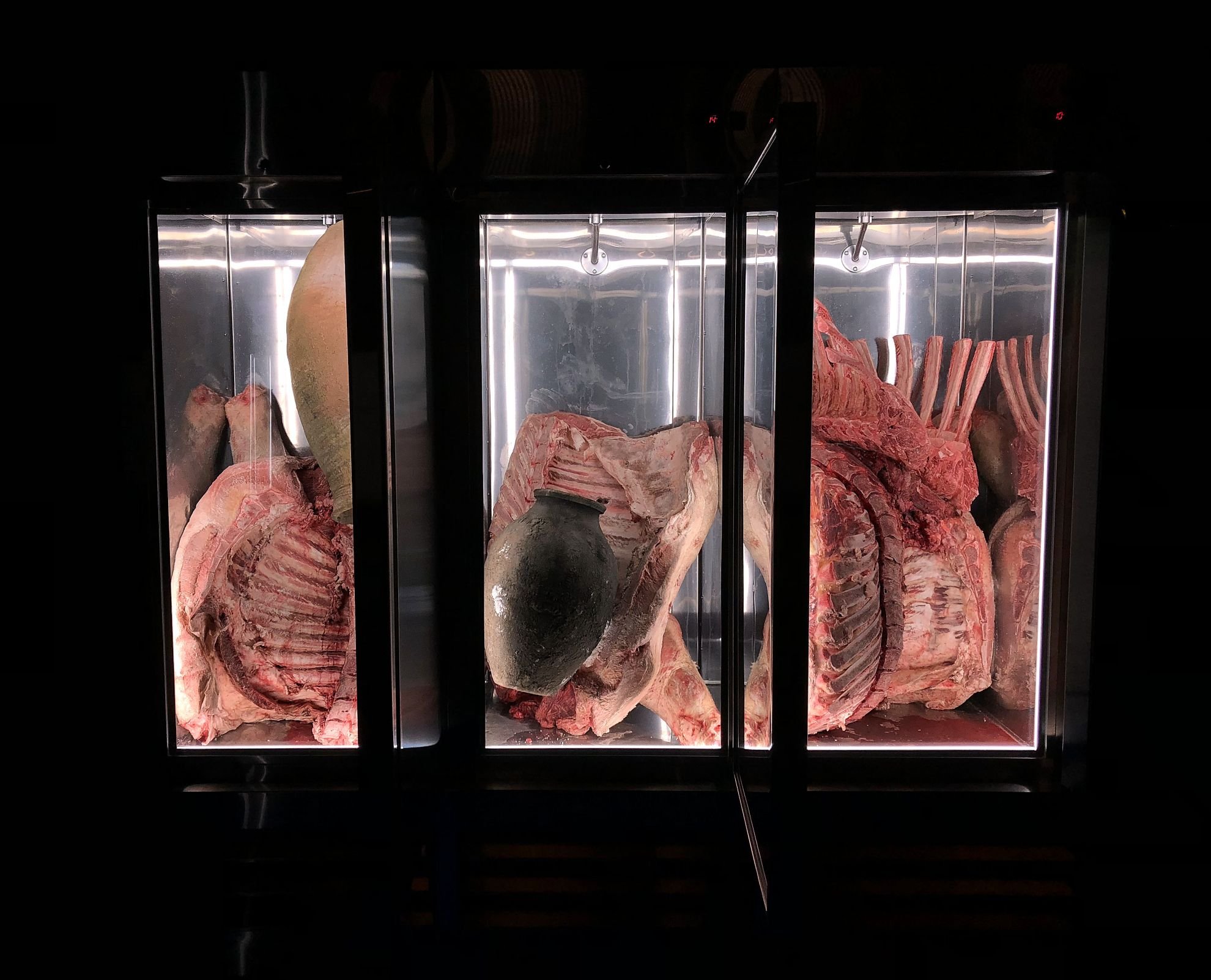 Adrian Villar Rojas MoCA installation showcasing a triptych of real meat carcasses in an enclosure designed by Sparano + Mooney Architecture