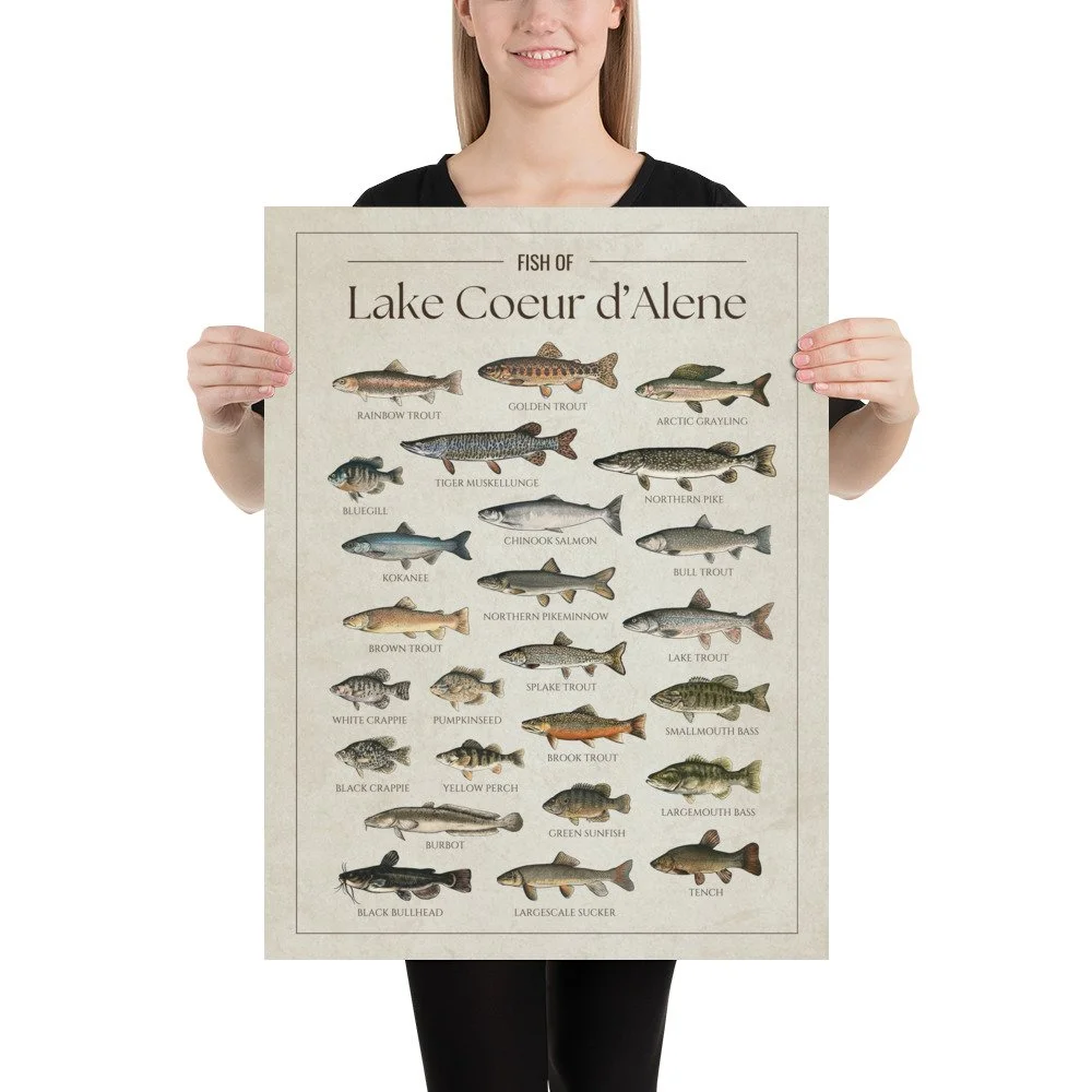 enhanced-matte-paper-poster-(in)-18x24-person-67912268e5aa7.jpg