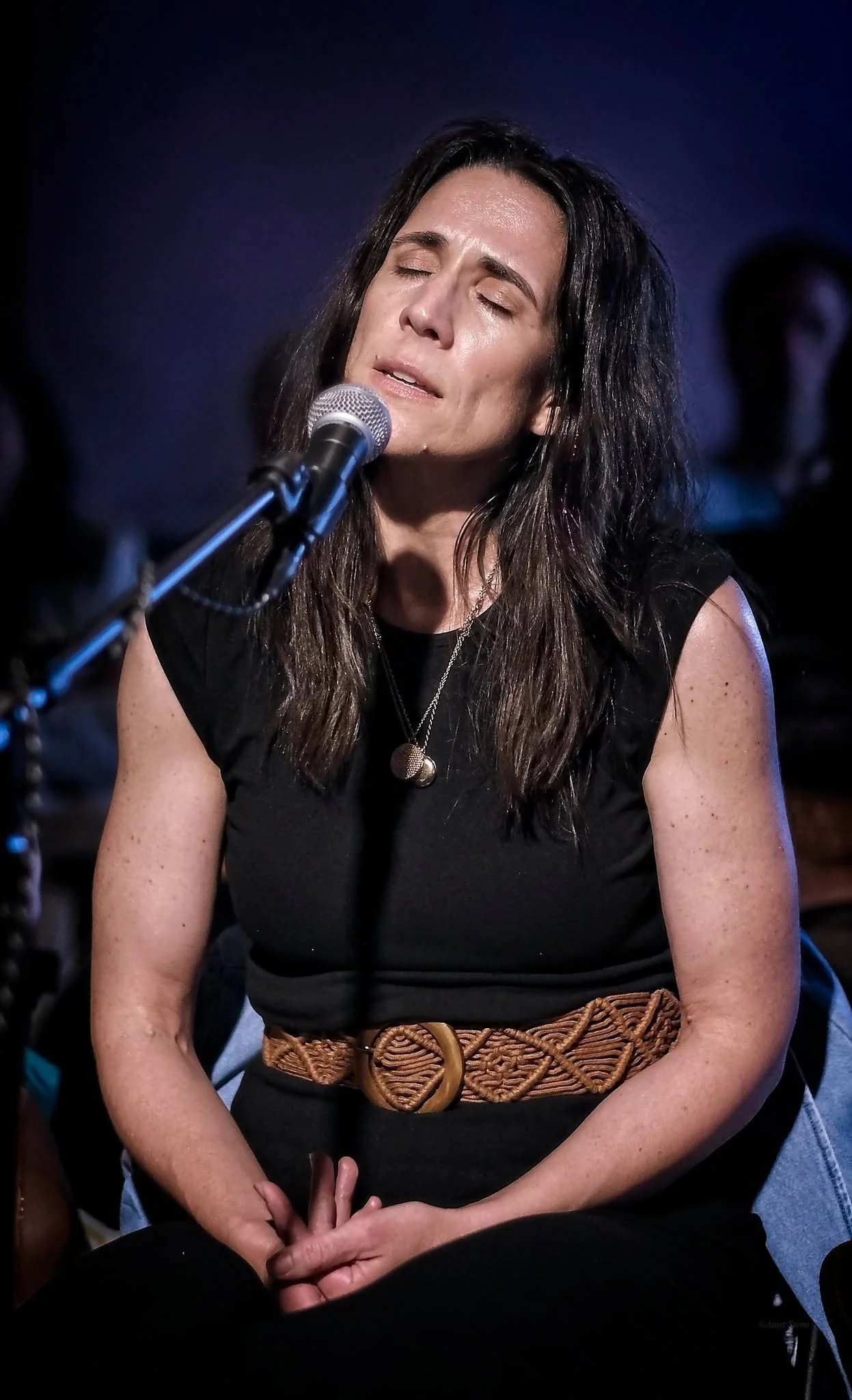 songbird may 2026 08.jpg