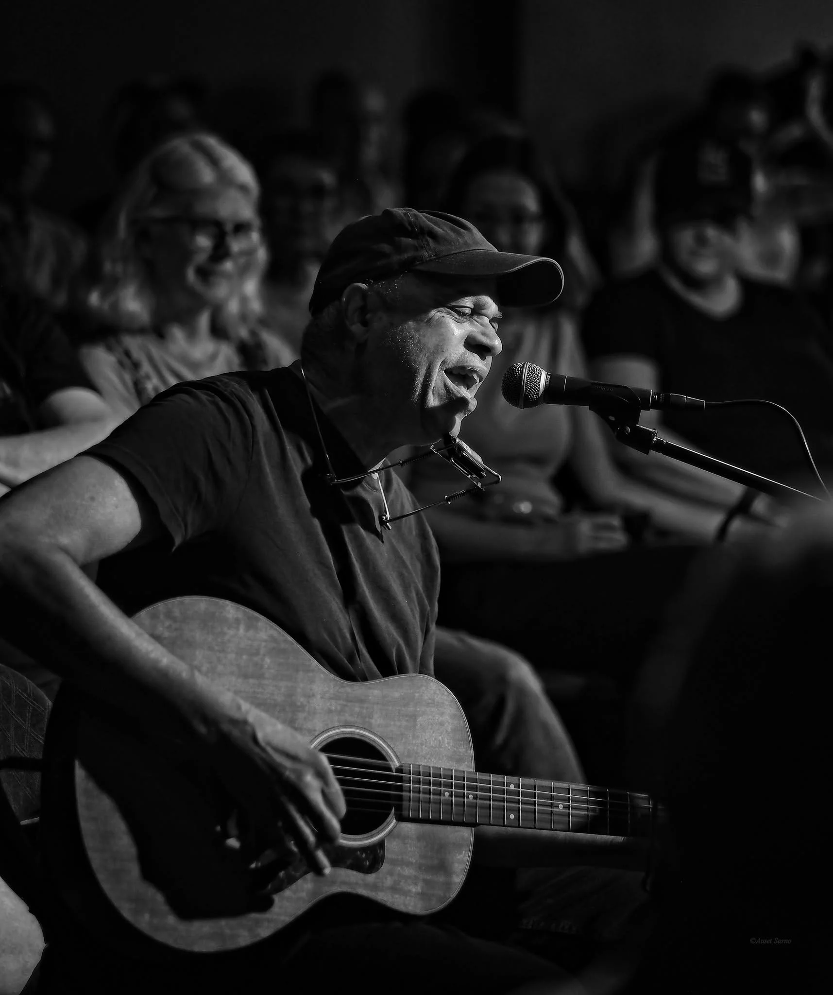 songbird 202608-14.jpg