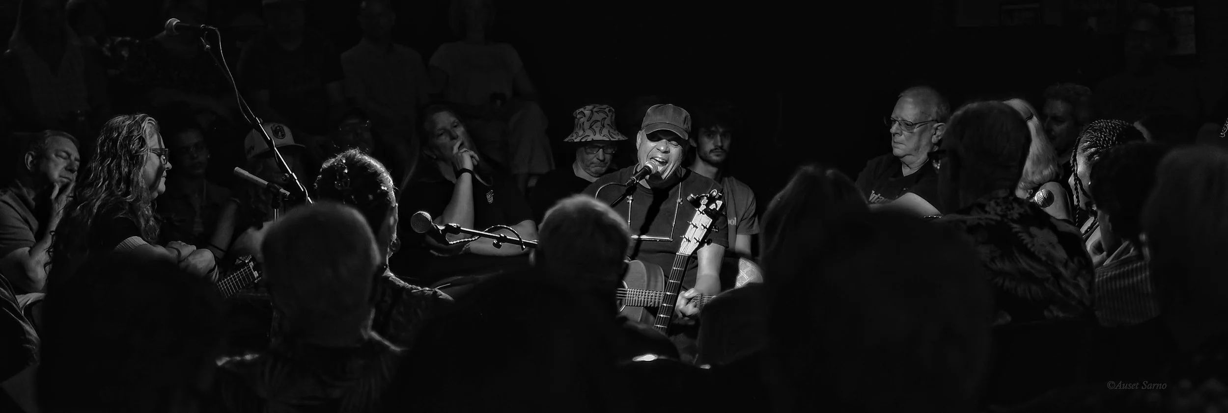 songbird 202608-10.jpg