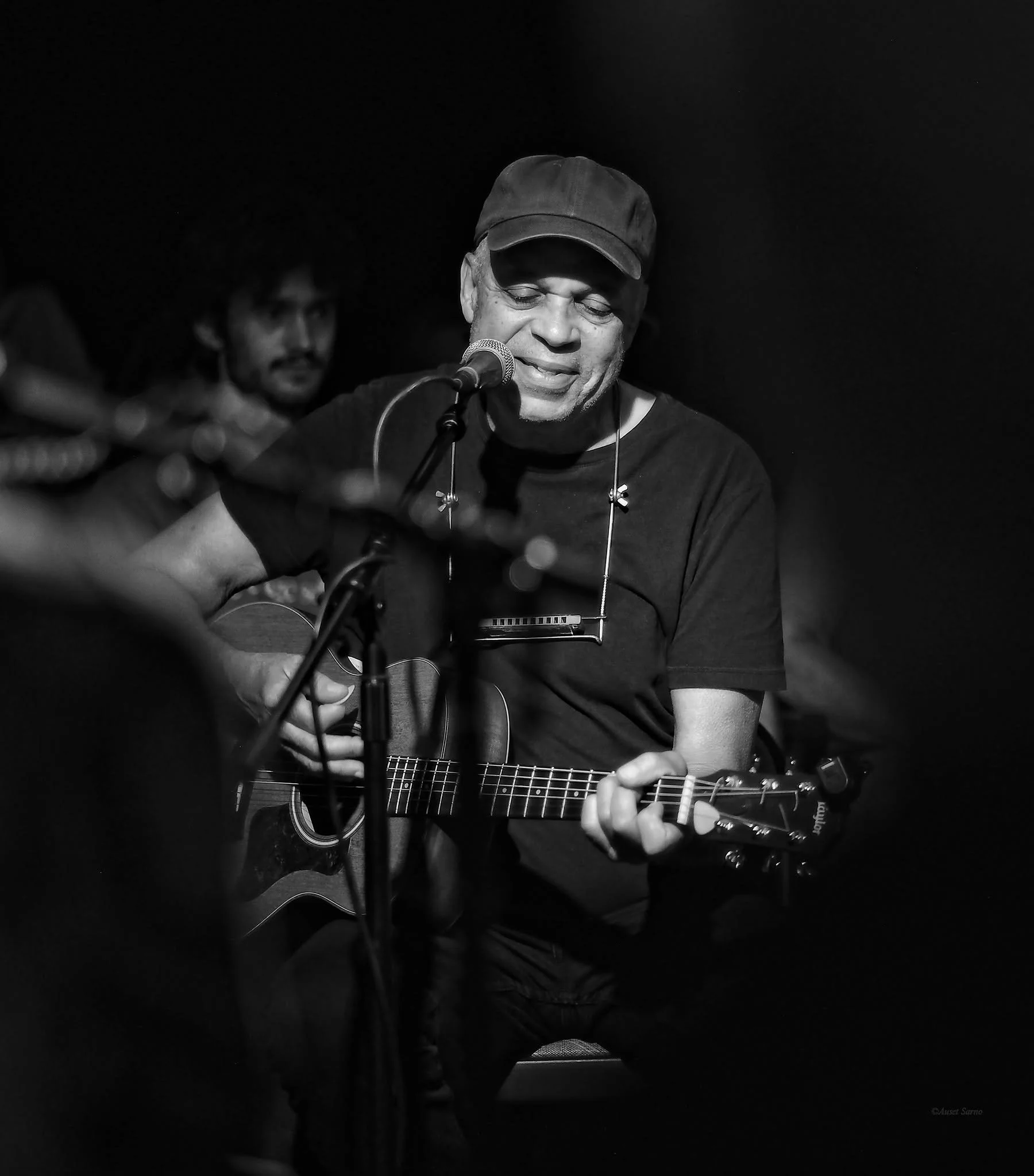 songbird 202608-02.jpg