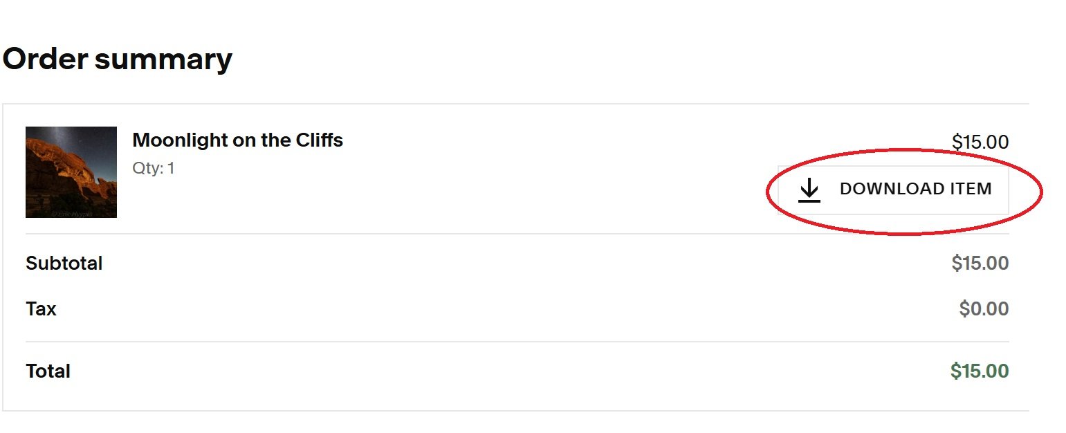 Image of your order summary with the Download Item button circled