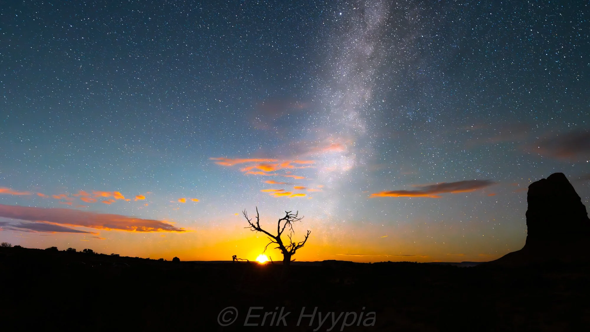 20250929-DSC08171 MoonsetTree Product Photo.jpg