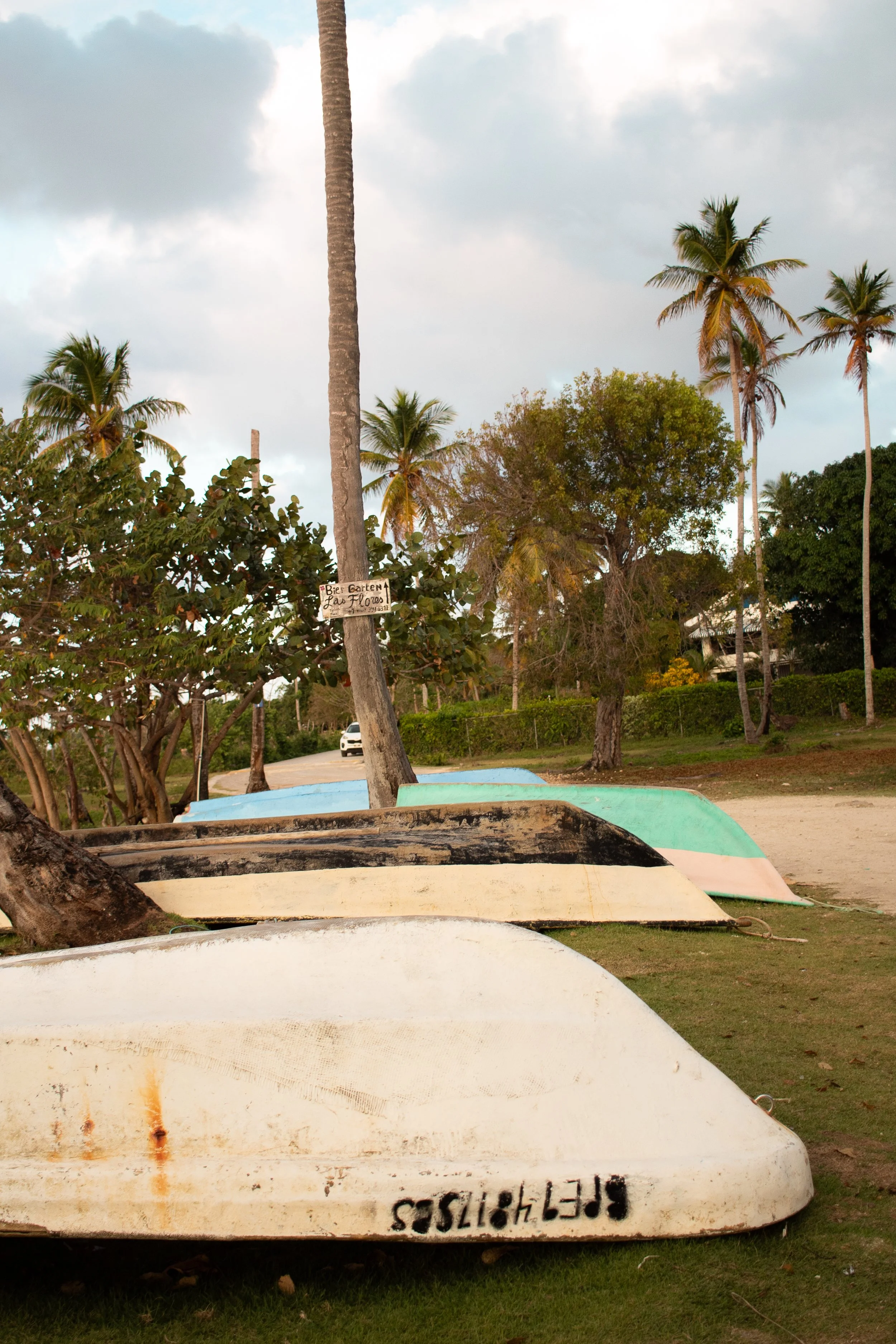 Several colorful boats are resting on the grass near palm trees with a cloudy sky in the background.