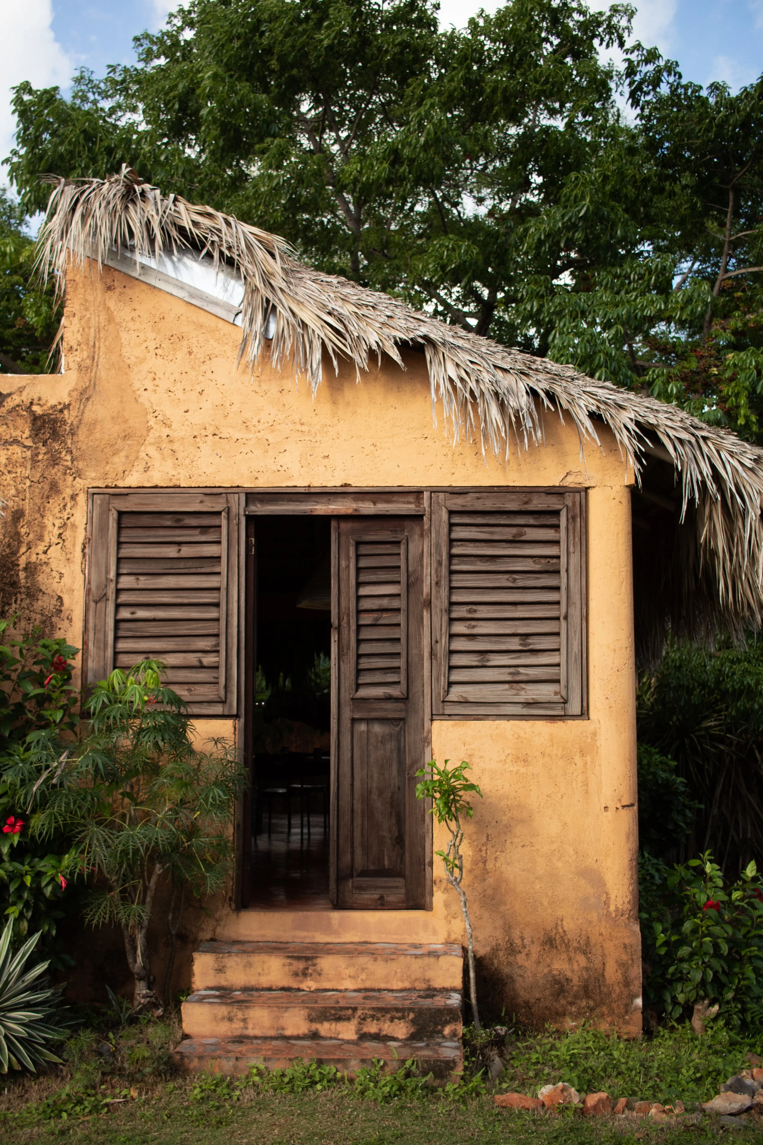 A small rustic house with a yellowish exterior, wooden shutters, a wooden door, and steps leading up to the entrance. The house is surrounded by greenery, including a small tree and flowering bushes, with a thatched roof made of dried palm leaves and