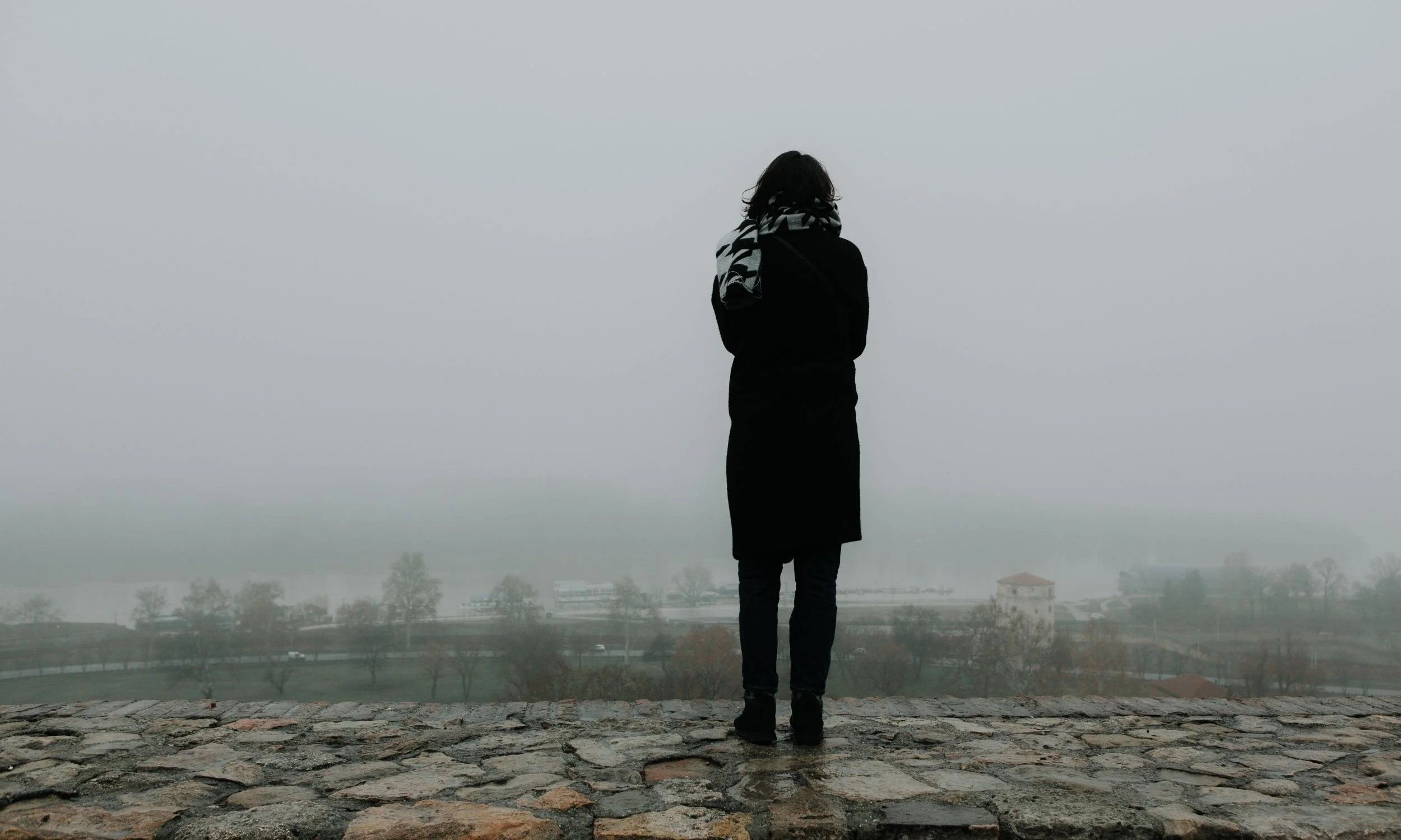 Persona de espaldas de pie en una superficie de piedras, mirando un paisaje brumoso con árboles y construcciones lejanas