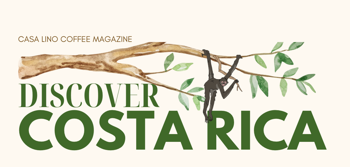 Casa Lino Coffee Magazine