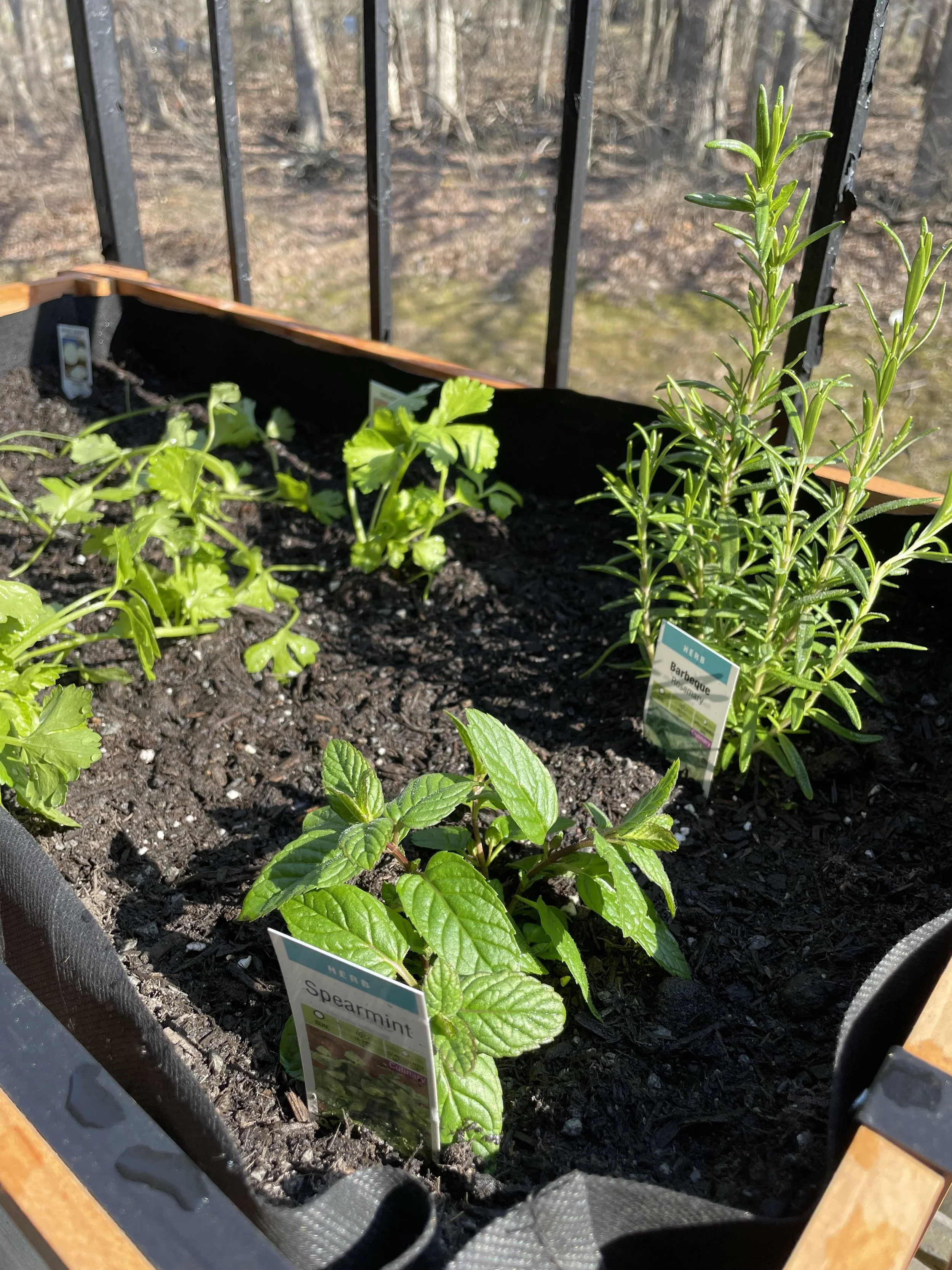 Spring Books &amp; Flowers