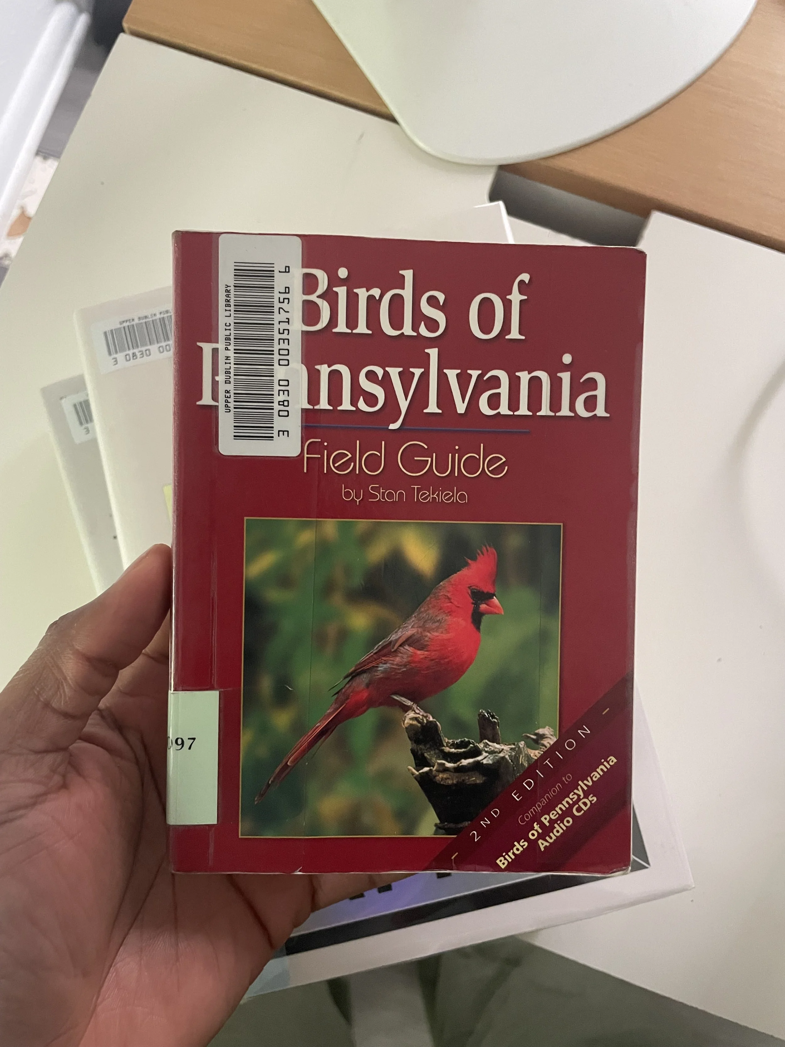 Bird Watchers Are The Masters of “The Art of Noticing”