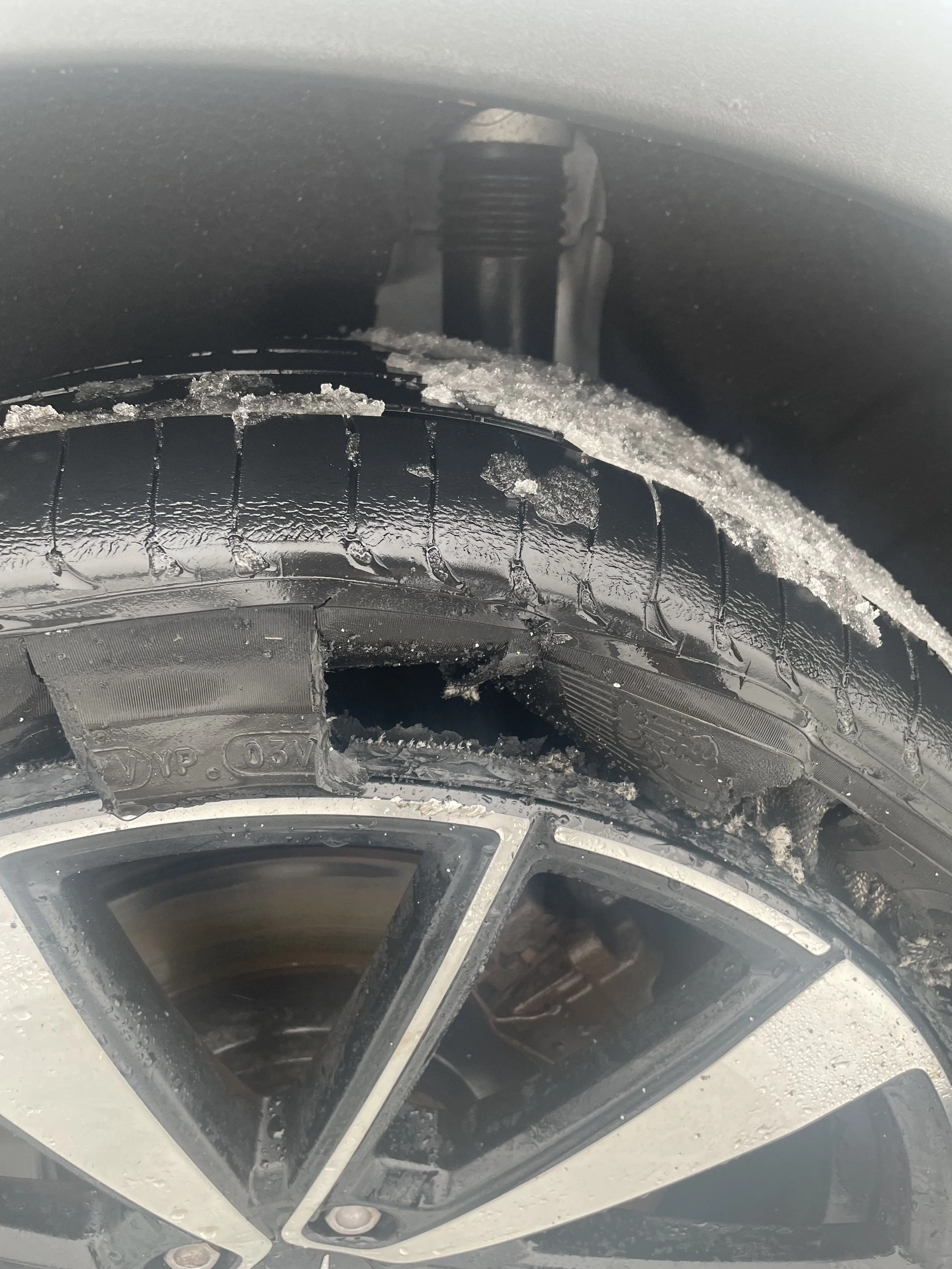 Disaster Turned Tasty